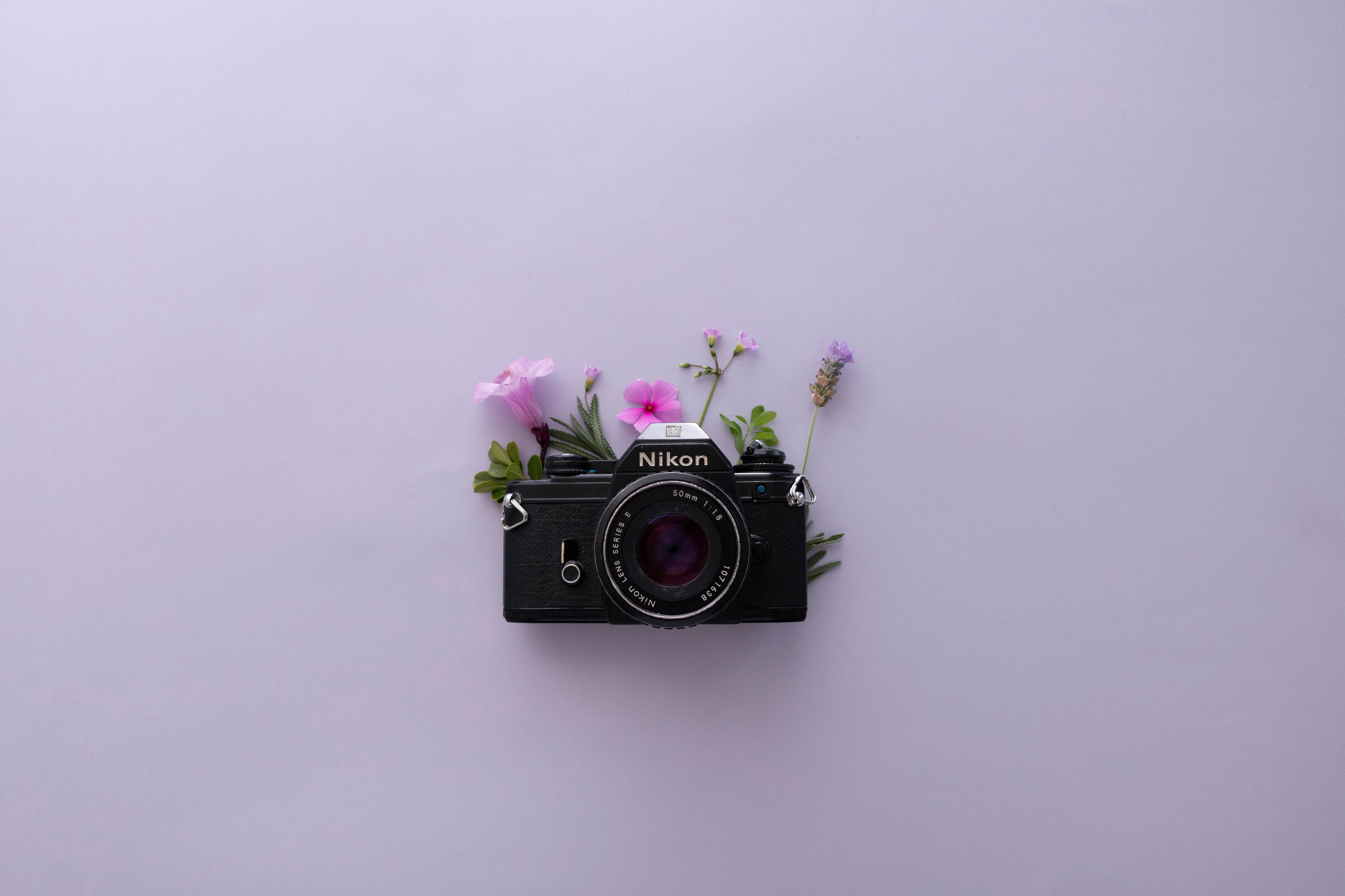 Лавандовая эстетика и камера Nikon Обои