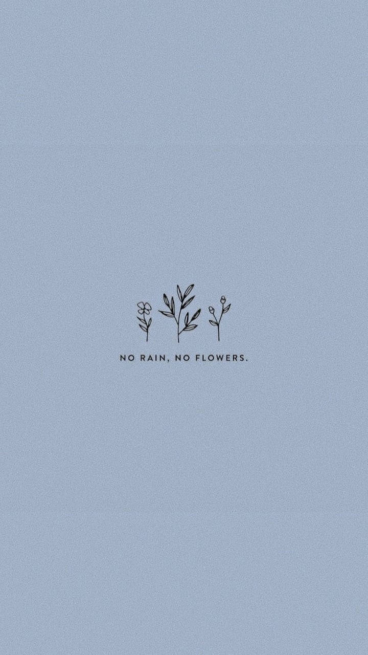 No rain no flowers милая эстетика обои