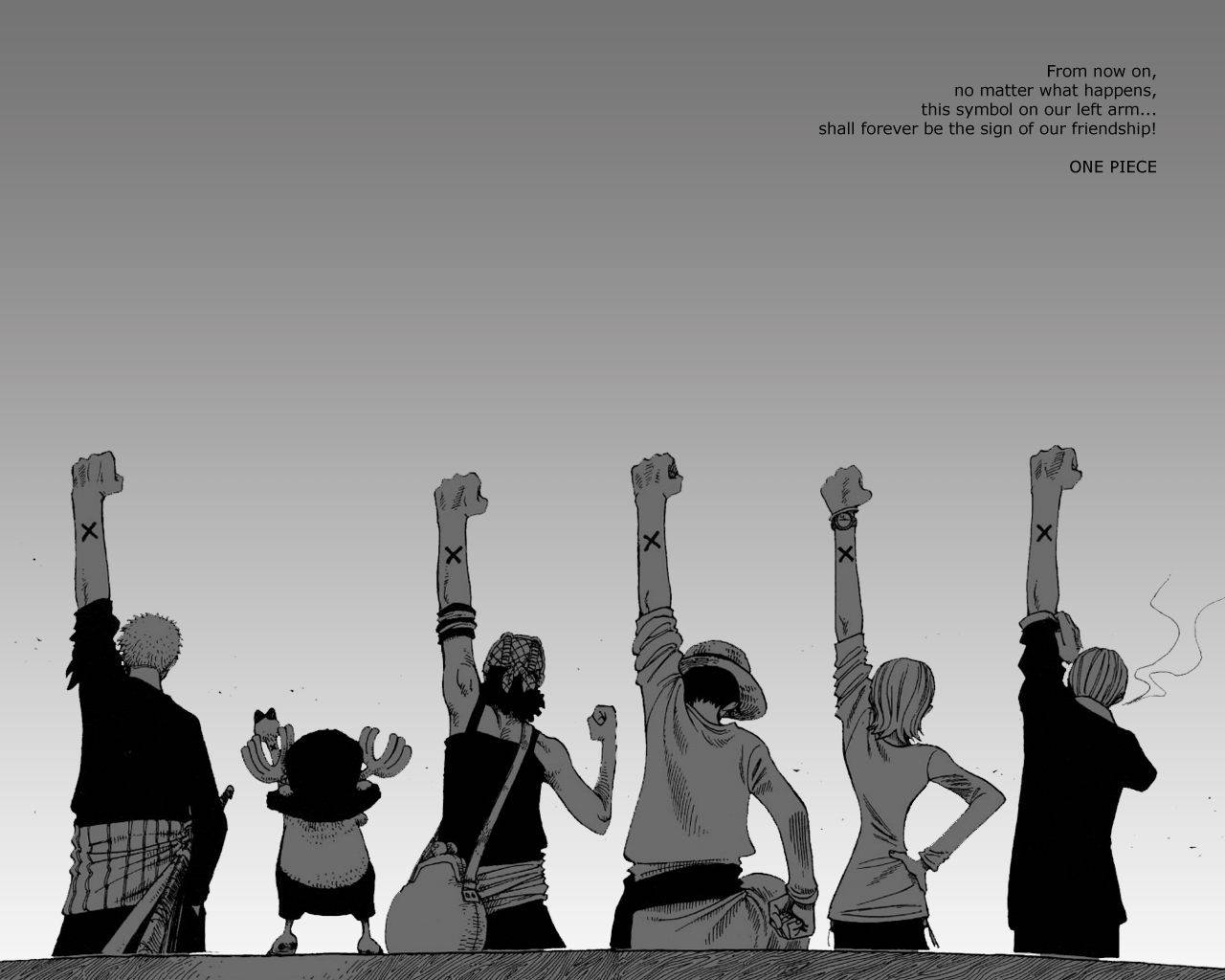 Дружба Цитата One Piece Рабочий стол Обои