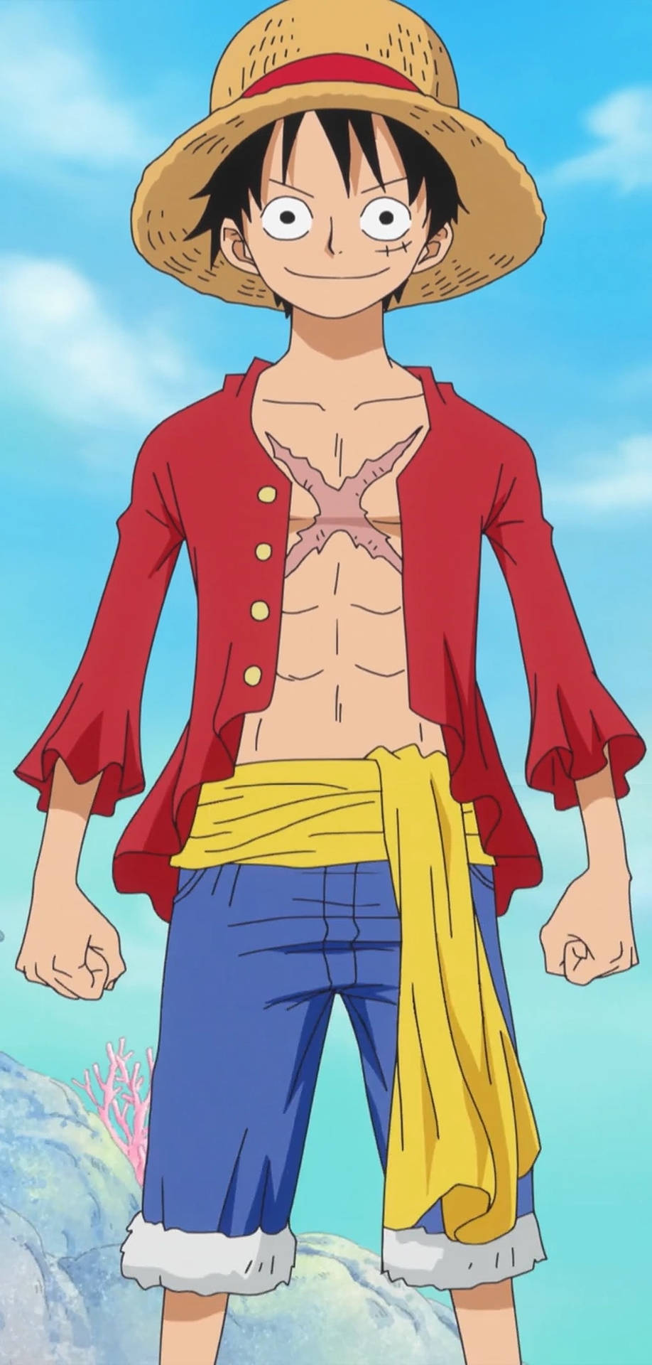 Обои One Piece для iPhone с портретом Луффи в полный рост