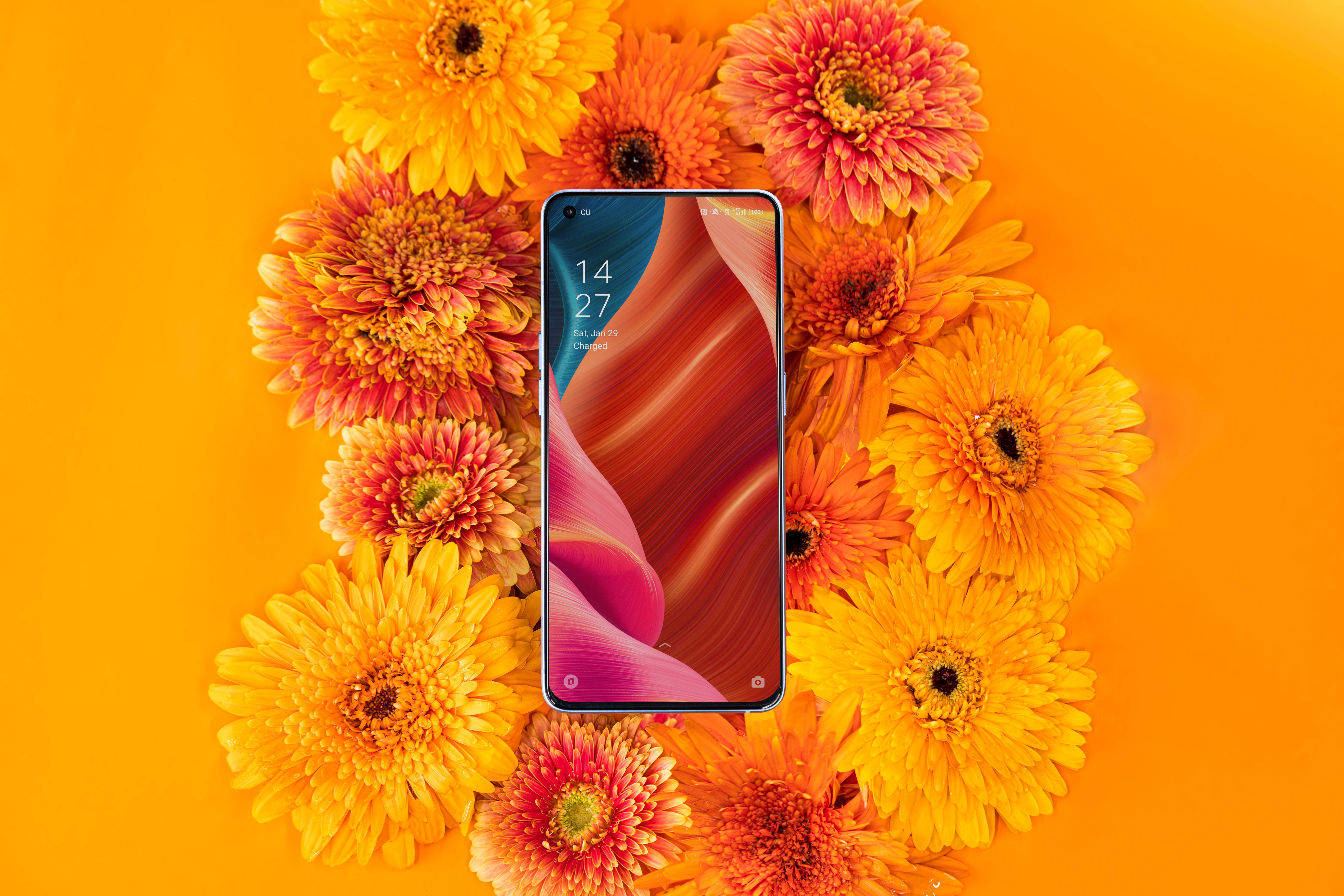 Смартфон Oppo и цветущая флора Обои