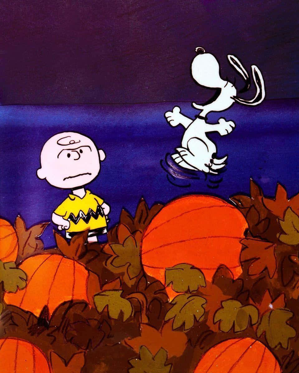 Чарли Браун и Peanuts в тыквенной грядке Обои