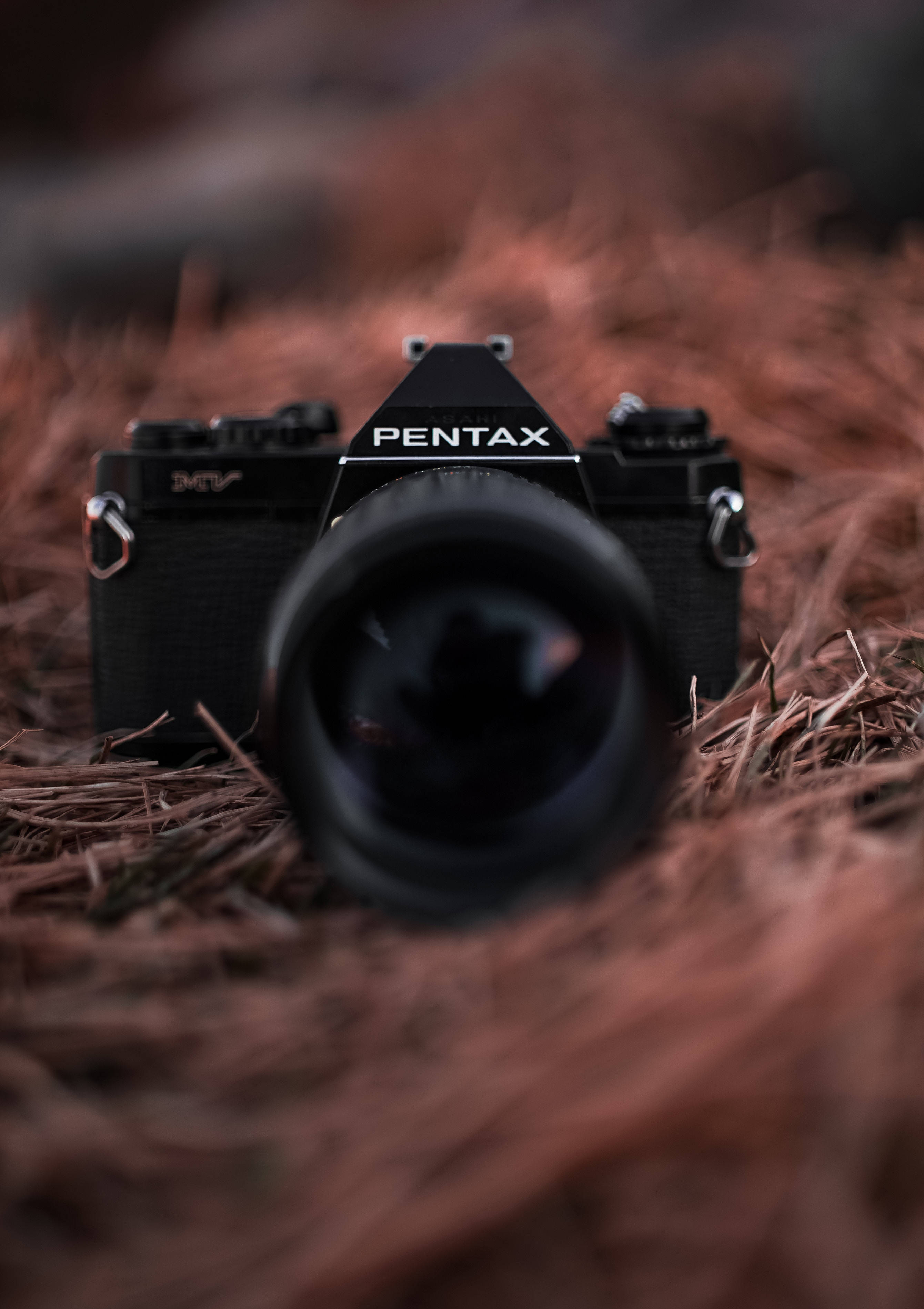 Запечатлейте красоту жизни с камерой Pentax Обои