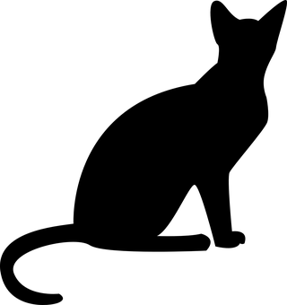 Черный экран Placeholder.JPG Обои