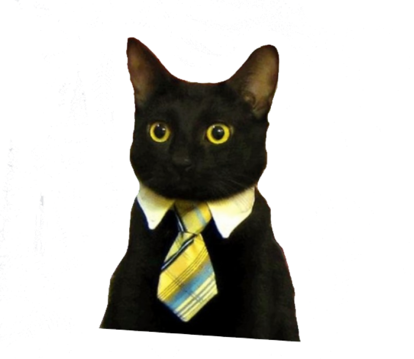 Кот-бизнесмен Мем.PNG Обои