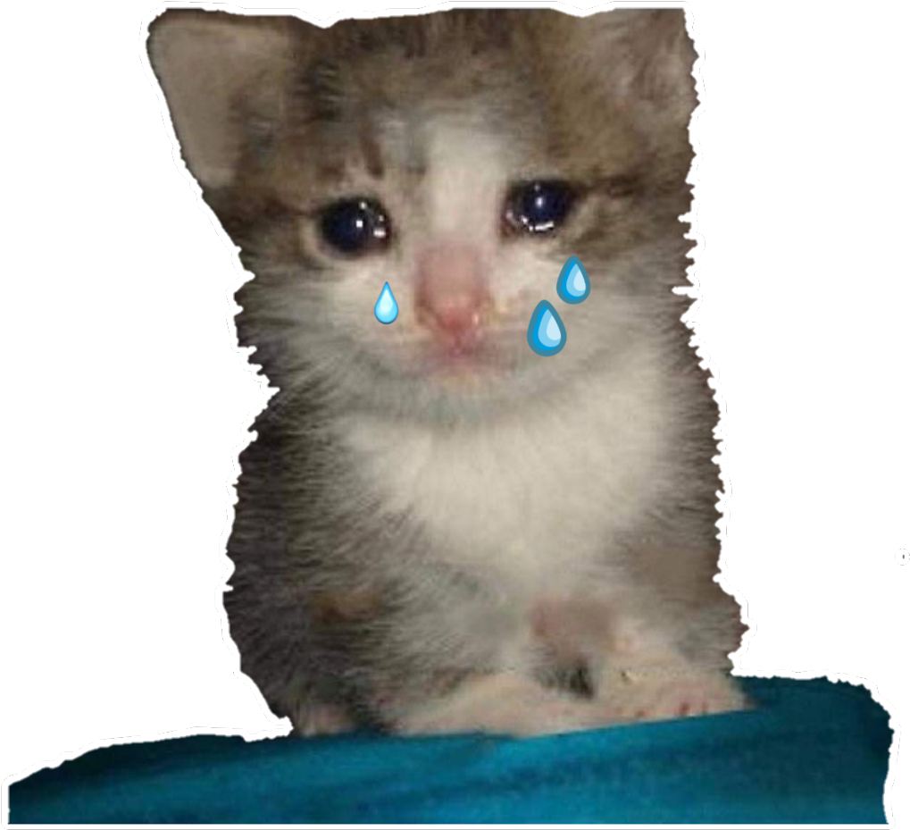 Плачущий_ котенок_ Мем.PNG Обои
