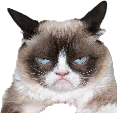 Сердитое выражение кота.PNG Обои