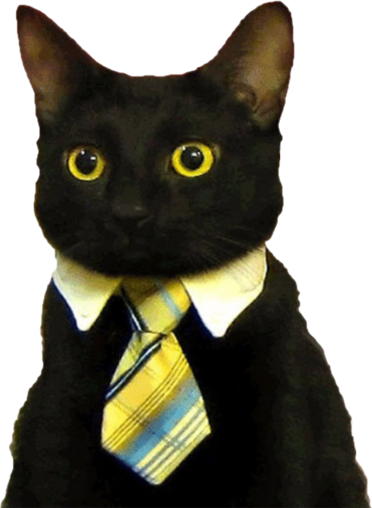 Деловой кот в костюме_ Мем.PNG Обои