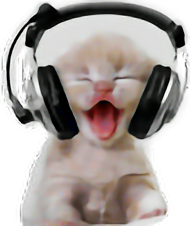 Смеющийся кот в наушниках.PNG Обои