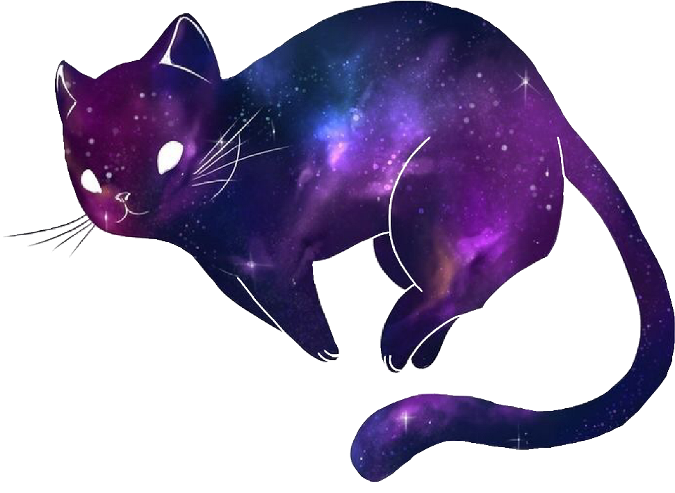 Космический милый кот.PNG Обои