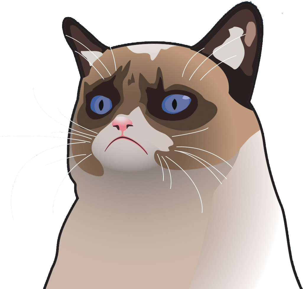 Сердитый кот_ мультяшное выражение.PNG Обои