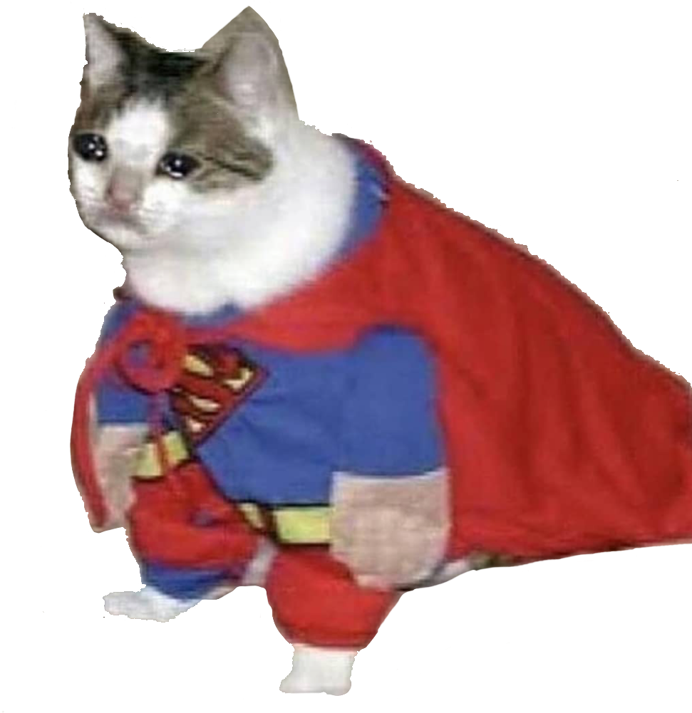 Супер Кот_ Герой_ Мем.PNG Обои
