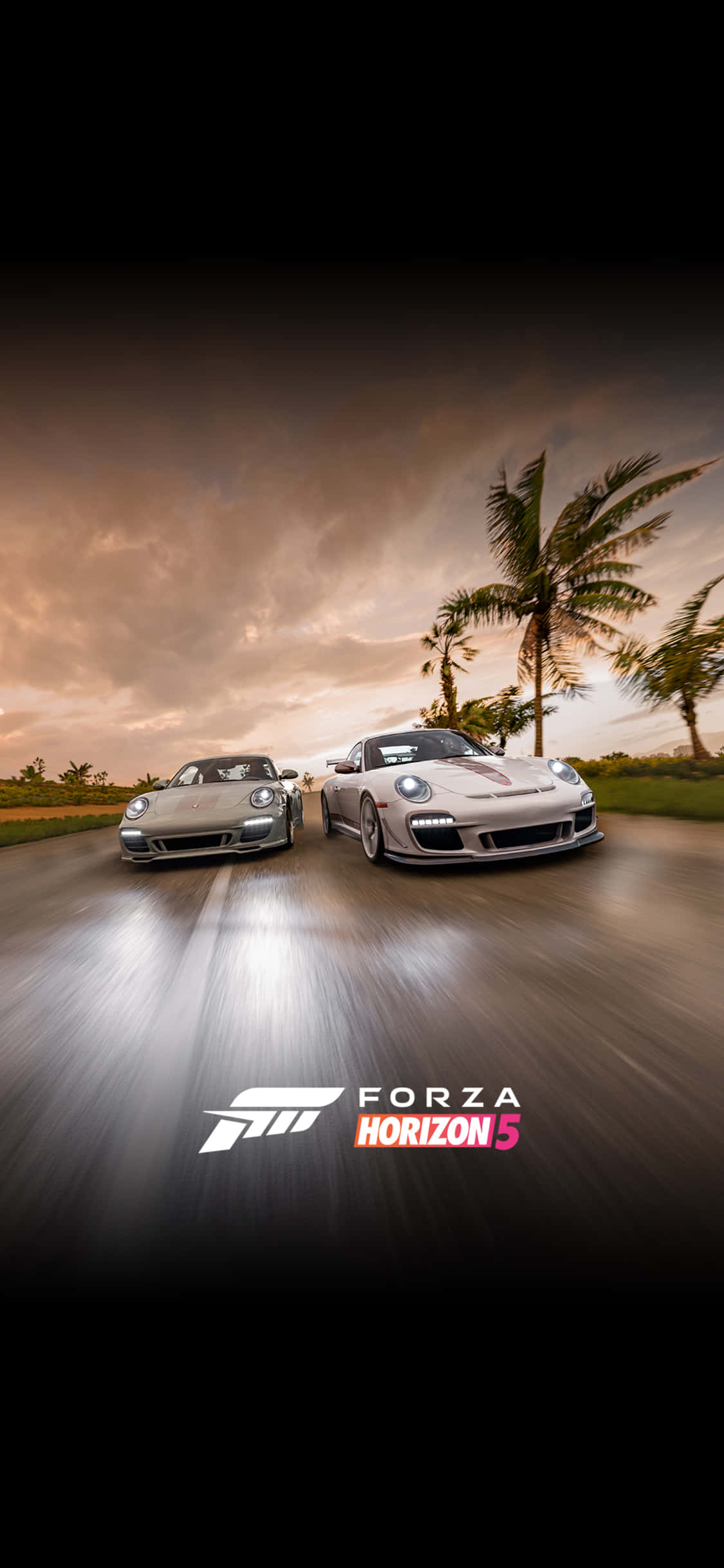 Ravensburger Porsche iPhone X Forza Motorsport 7 фон Обои
