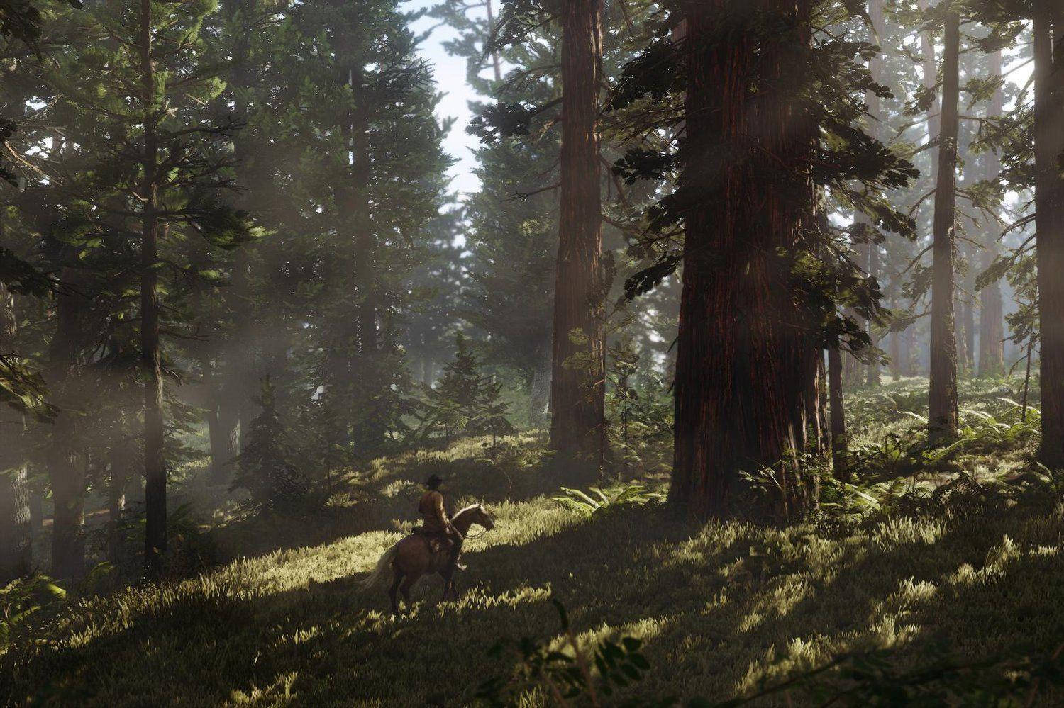 Red Dead Redemption 2 4K Лес Обои
