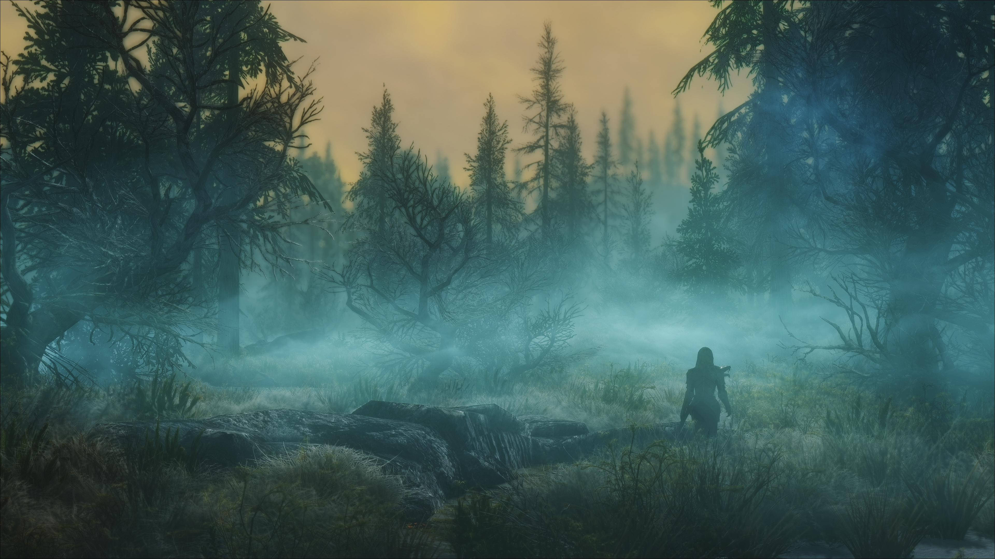 Skyrim Ultra HD Туманный Темный Лес Обои
