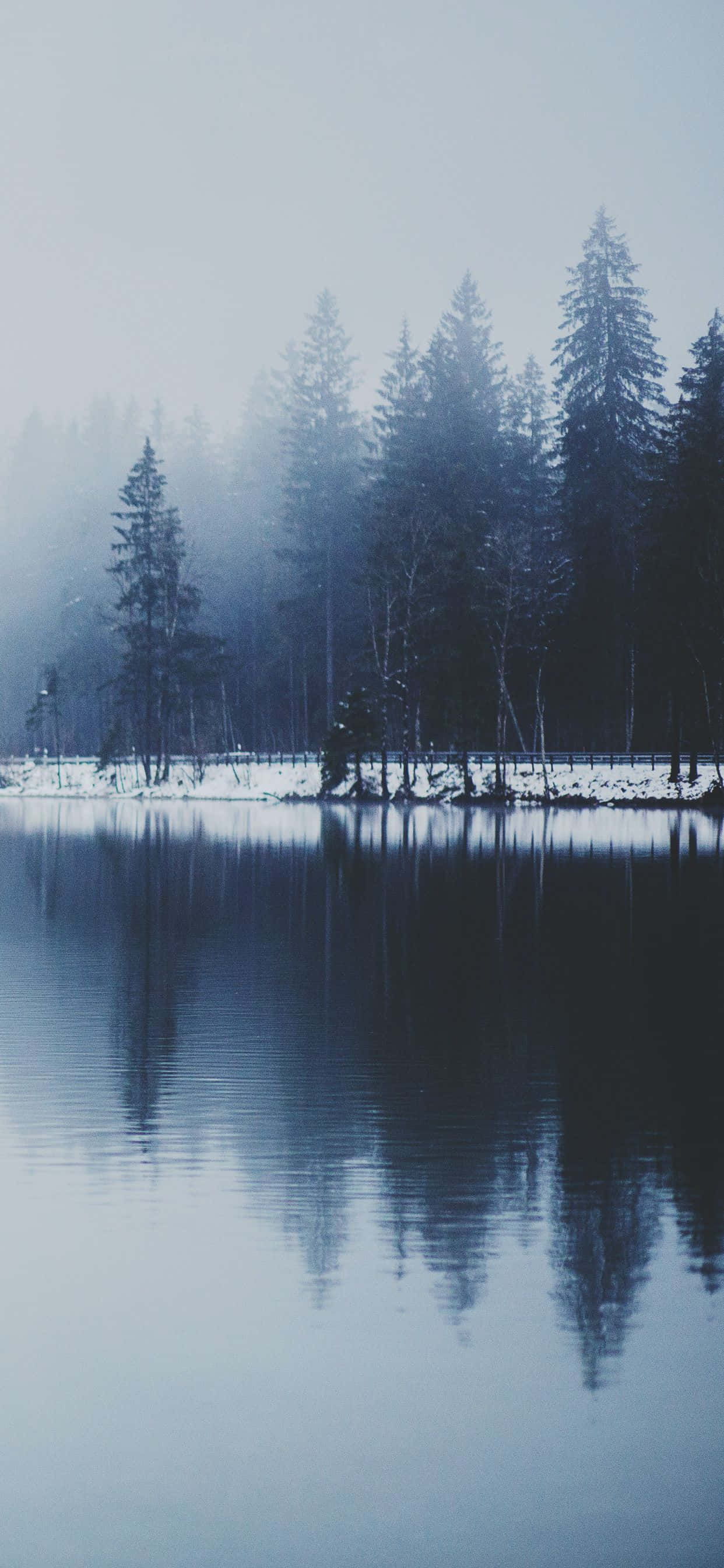 Завораживающий Snow iPhone Обои