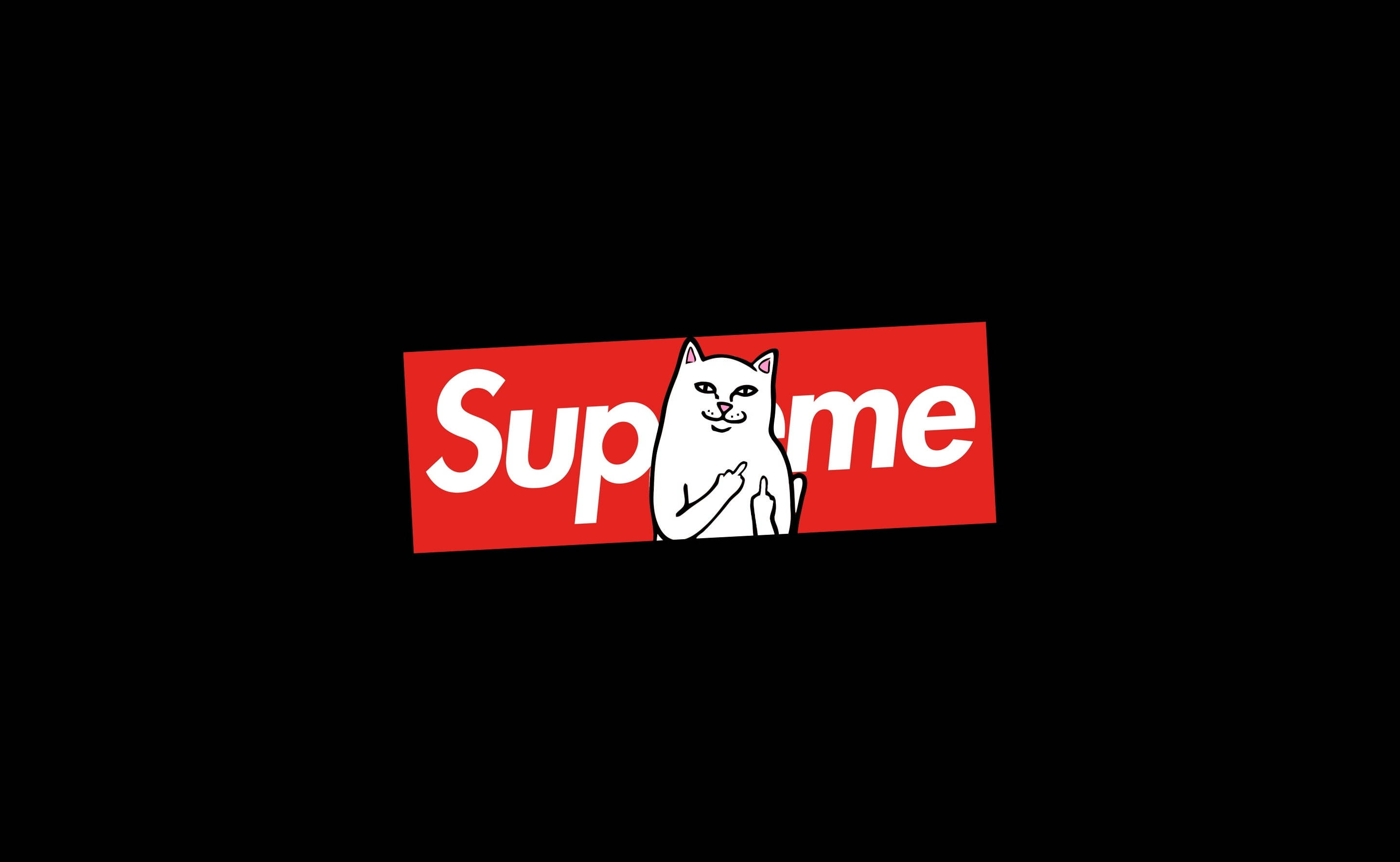 Кот сидит на ноутбуке Supreme Обои