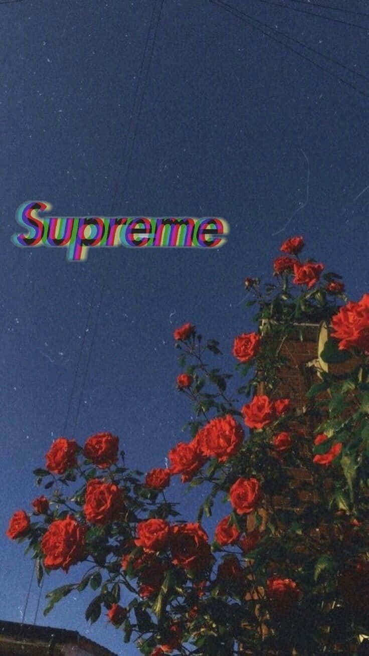 Красные цветы Supreme Эстетика Tumblr Обои