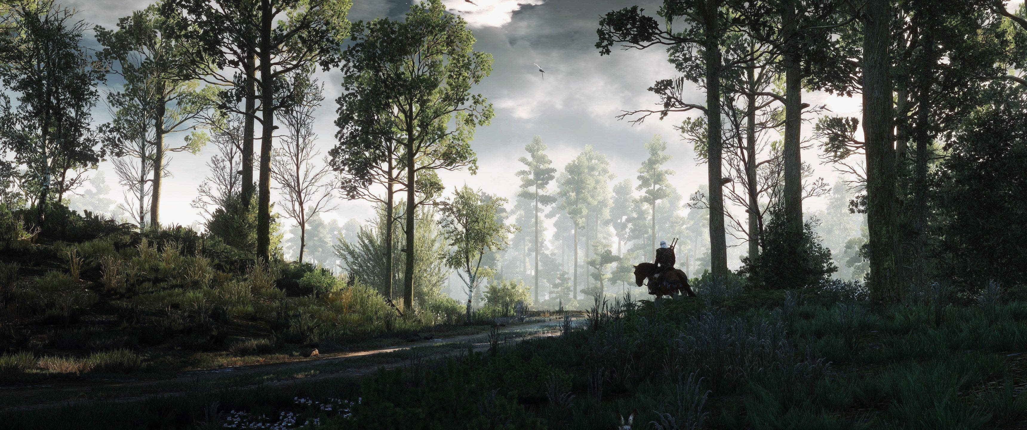 Исследуйте мистический лес из видеоигры The Witcher Обои