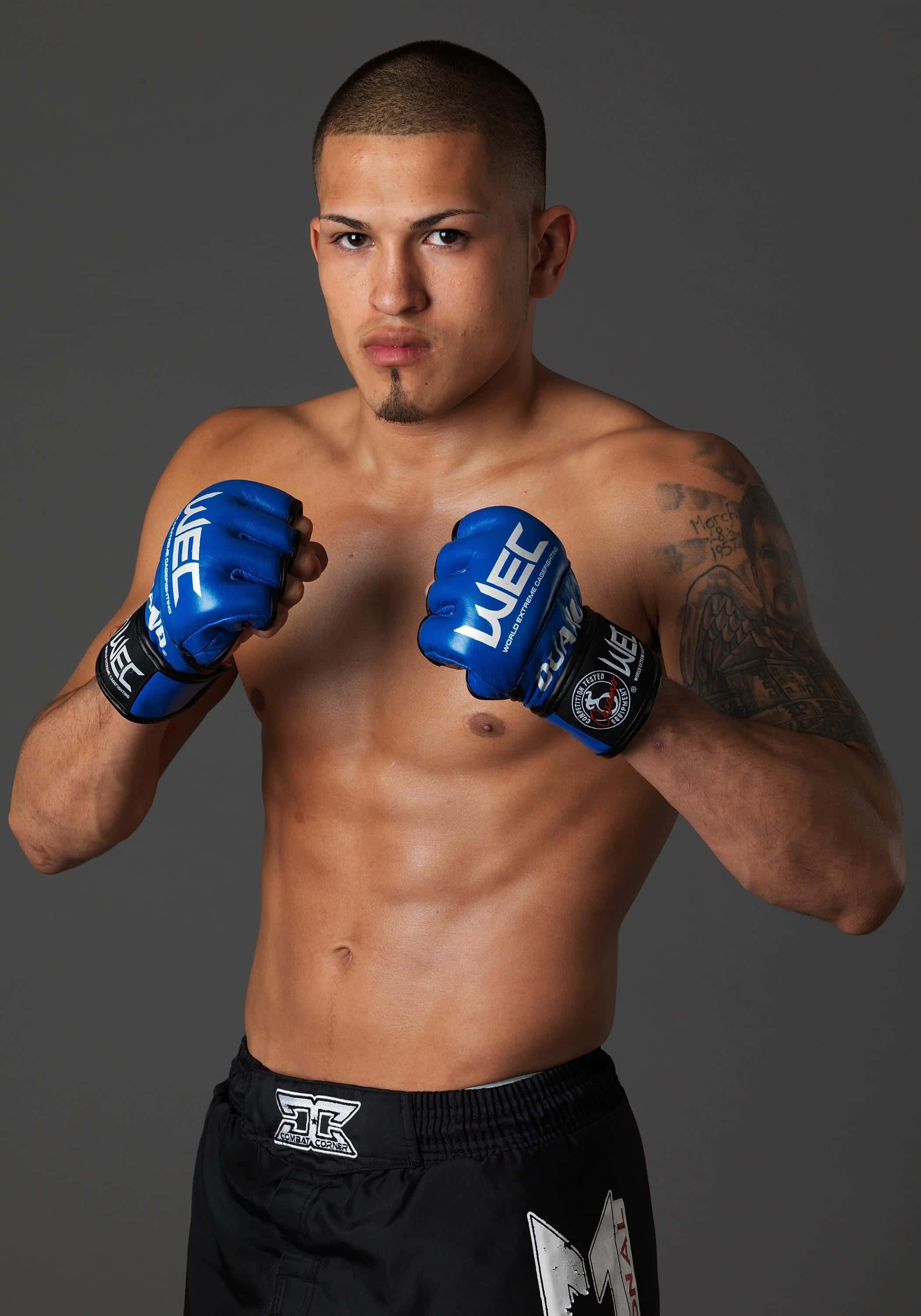 Горячий латиноамериканский боец UFC Энтони Петтис Обои