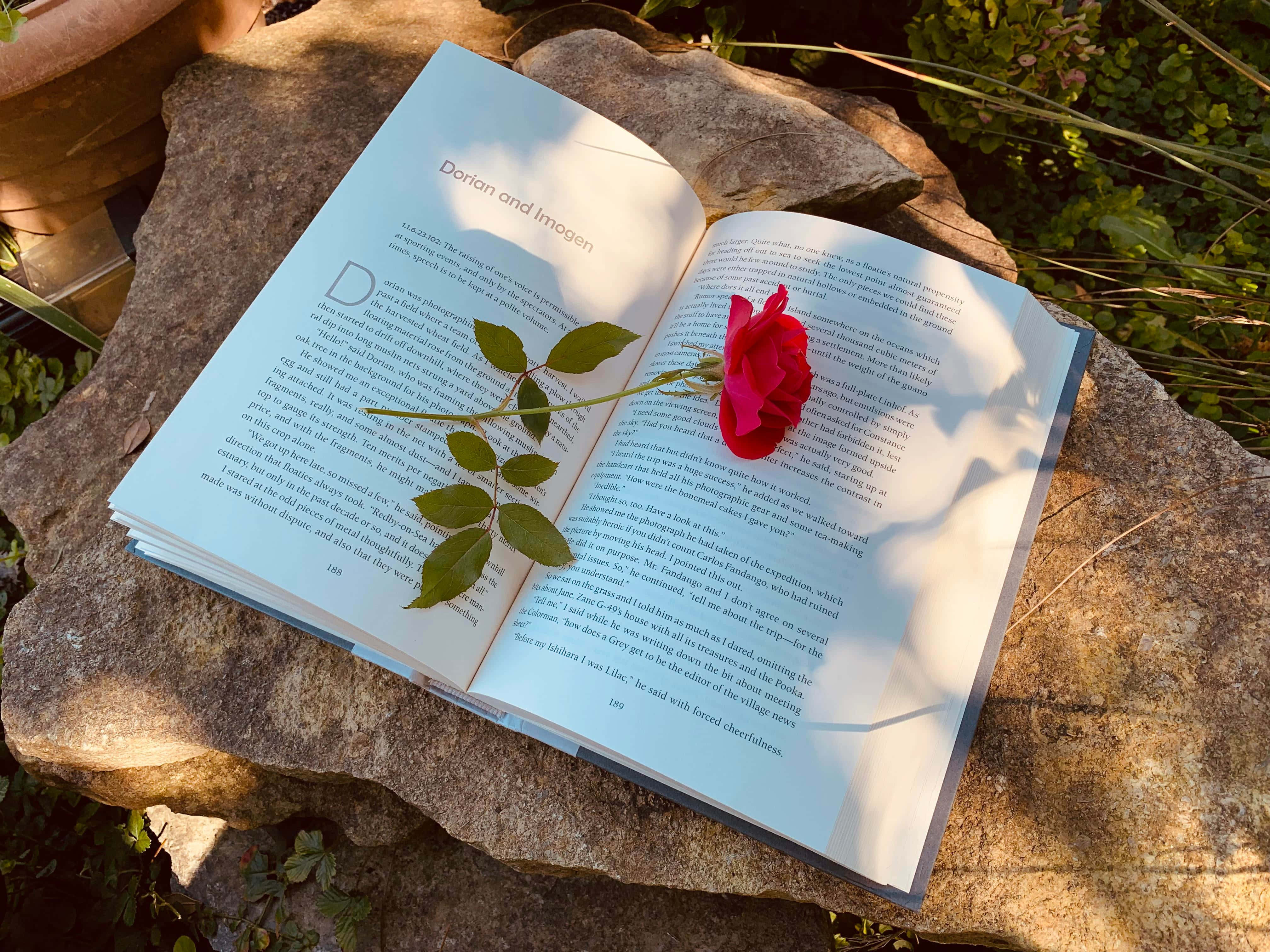 Погрузитесь в мир книг с долей whimsy и релаксации. Обои
