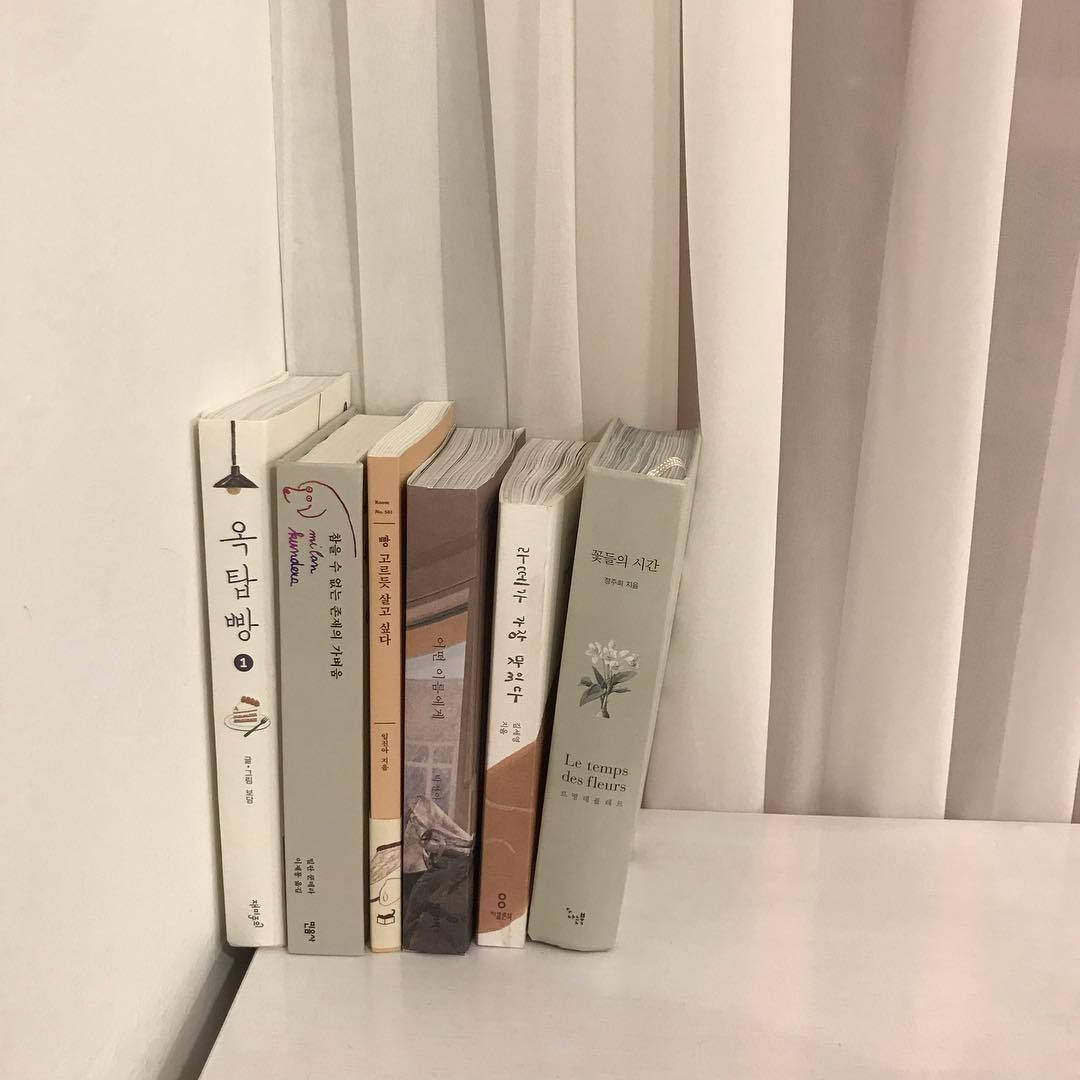 Бежевые эстетичные корейские книги обои