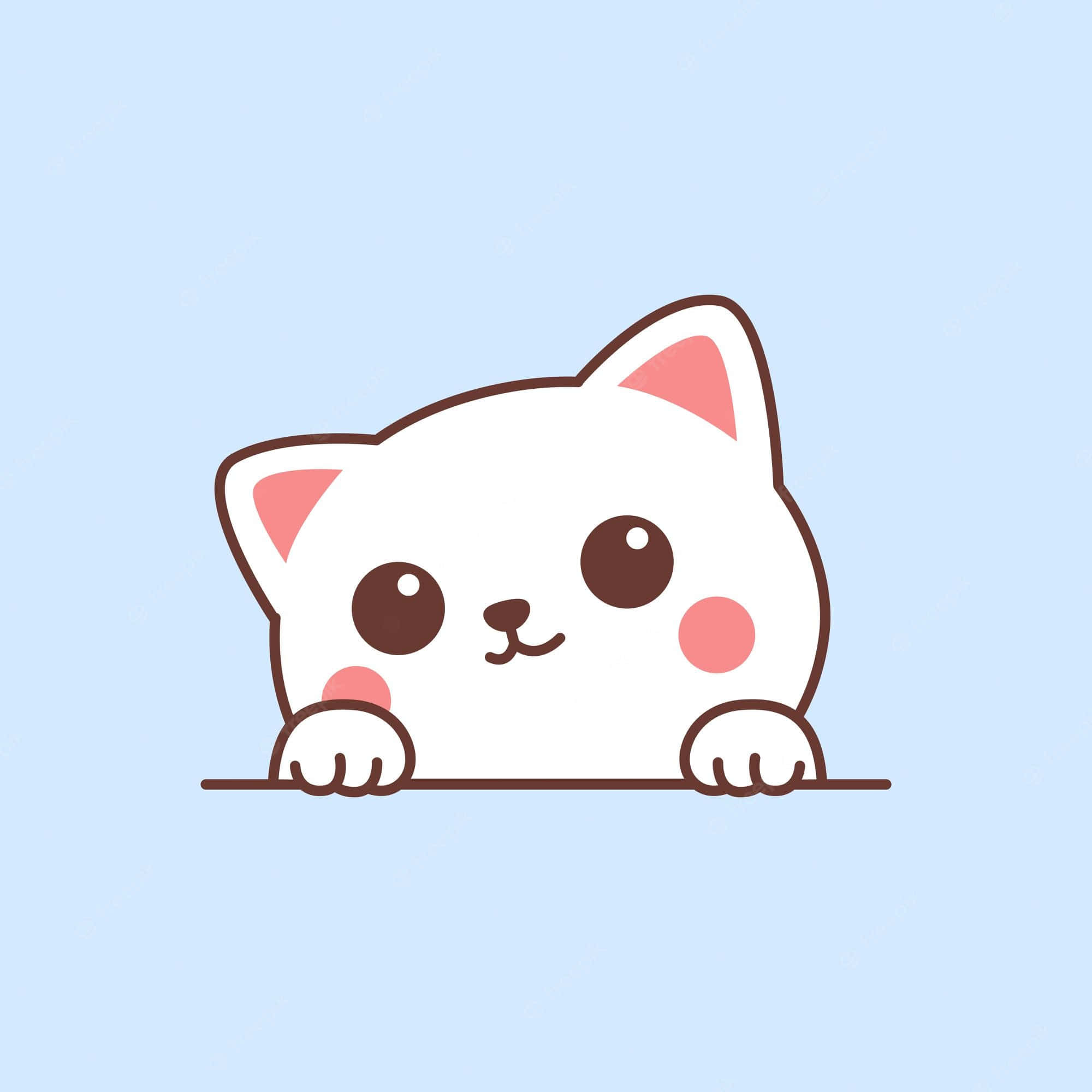 белая кошка, выглядывающая из угла Обои