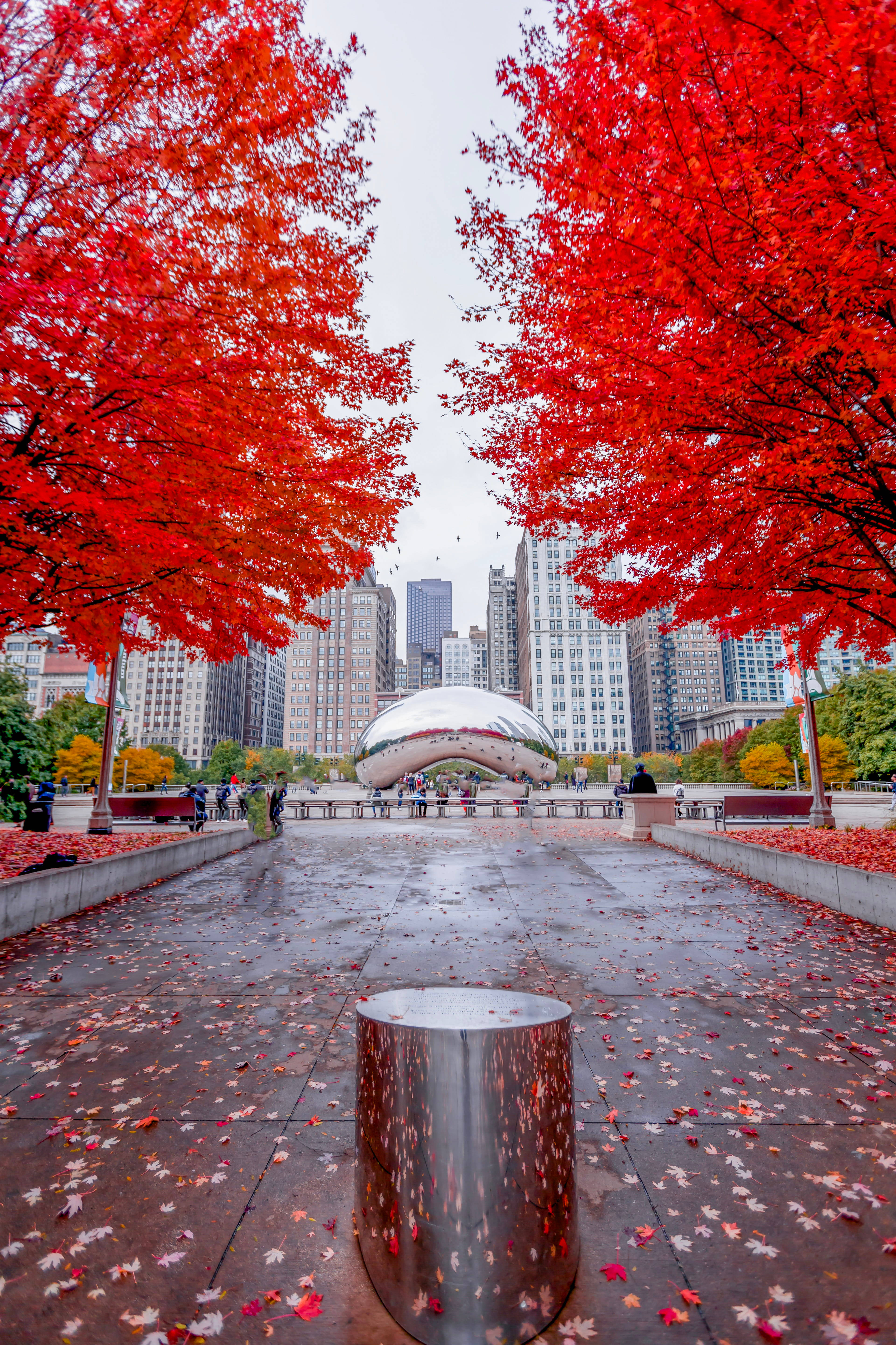 Бин Чикаго Красные Листья Обои