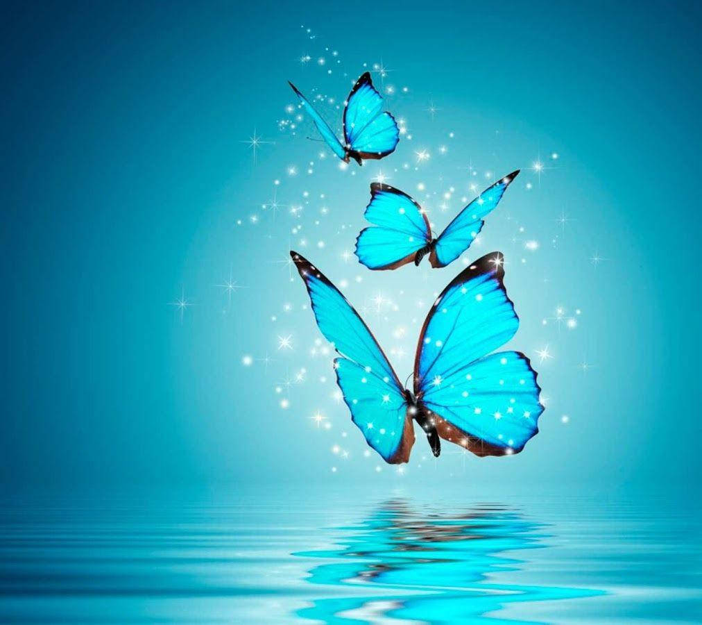 Блестящие бабочки для WhatsApp DP