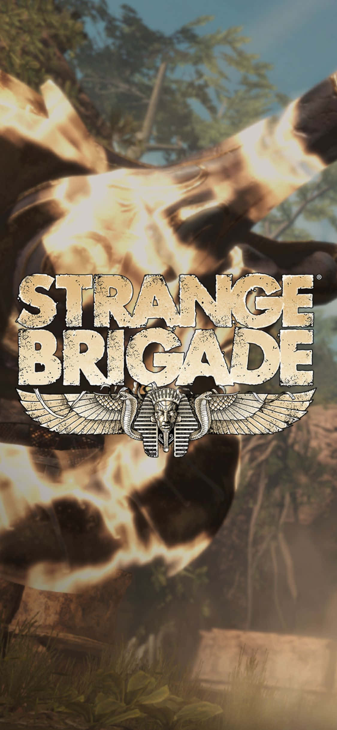 Бутылка с огненным оружием iPhone X Strange Brigade фон Обои
