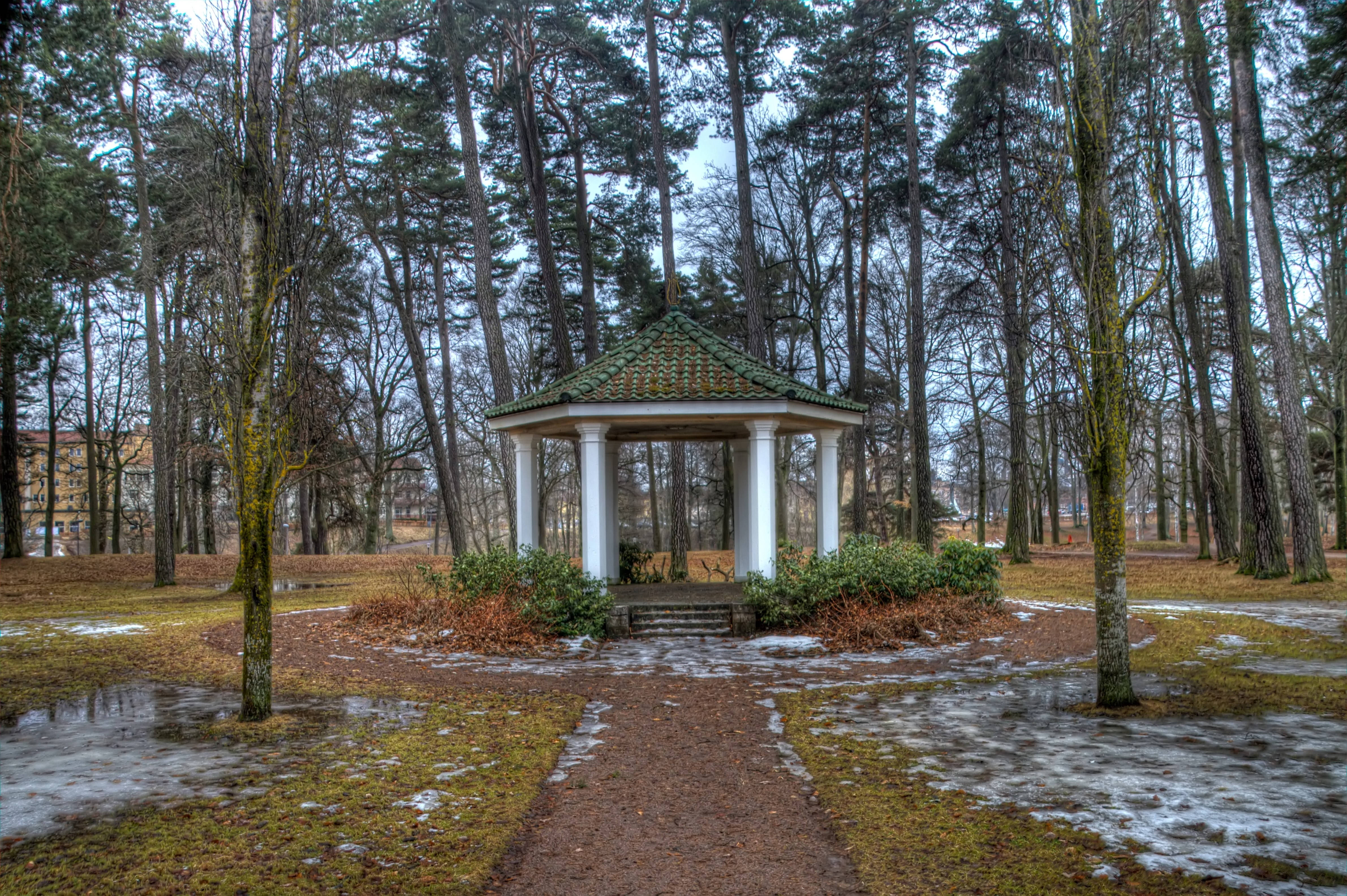 Весенний парк Обои