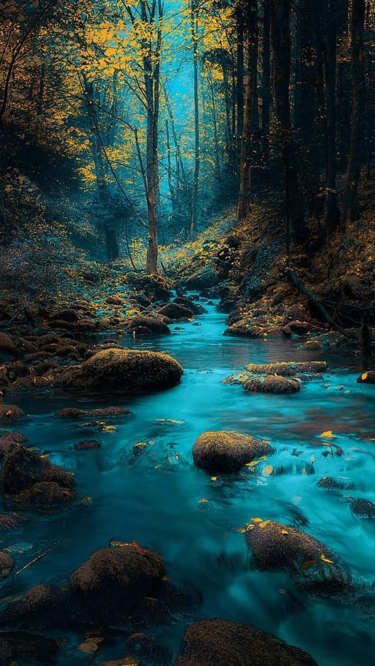 Фотографии природных пейзажей