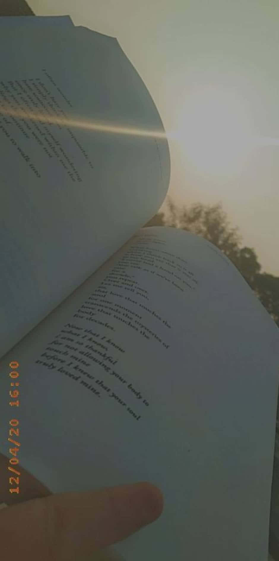 «Дайте волю воображению с книгой в руках.» Обои