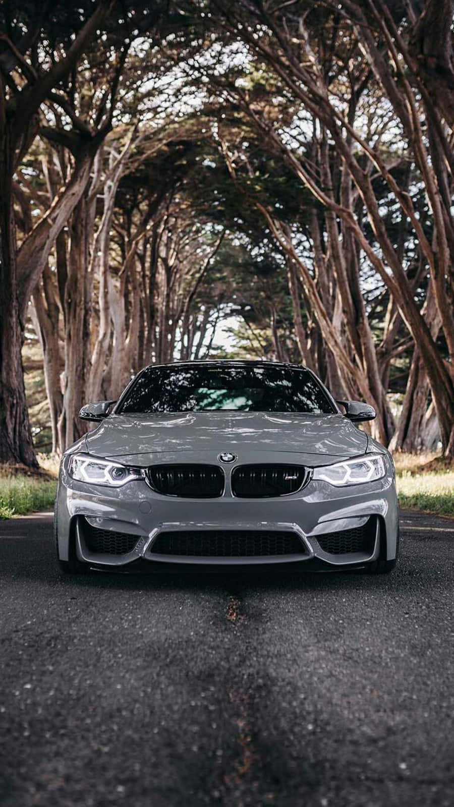 Задний фон Pixel 3 BMW M4 в цвете Silverstone Metallic II Обои