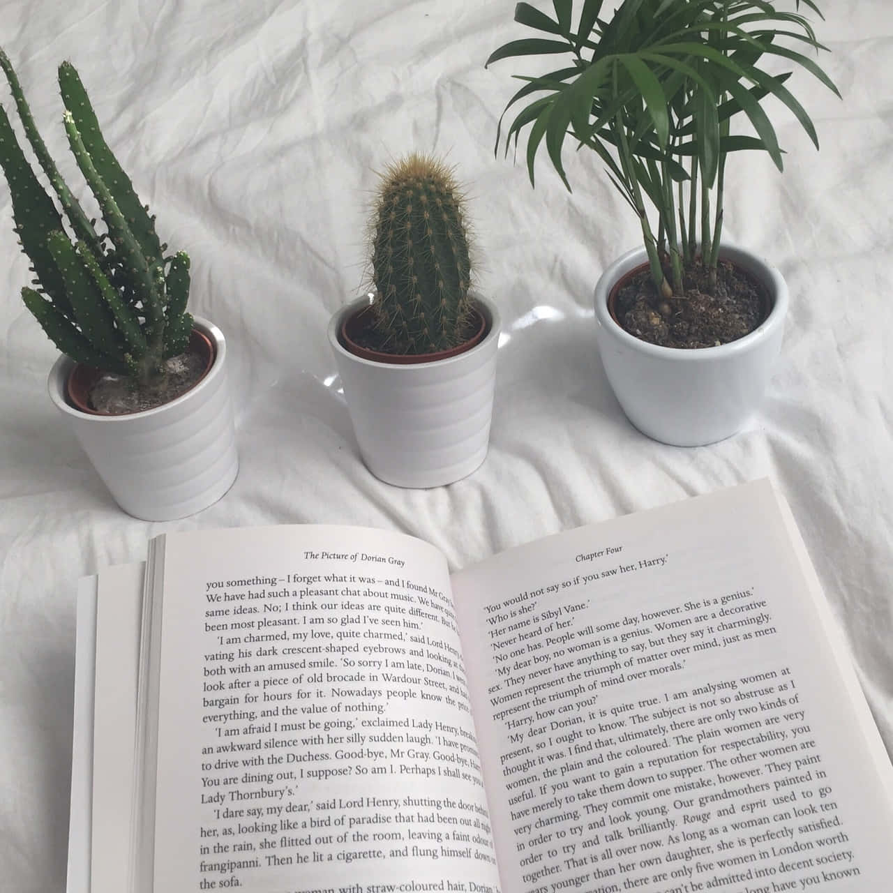 Исследуйте мир книг! 📖 Обои