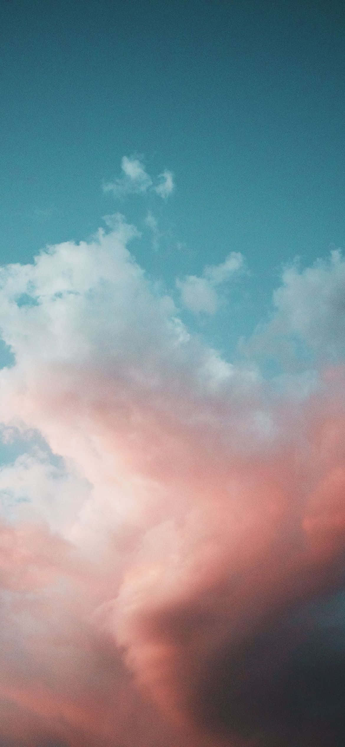 Исследуйте яркую цветовую палитру природы Обои