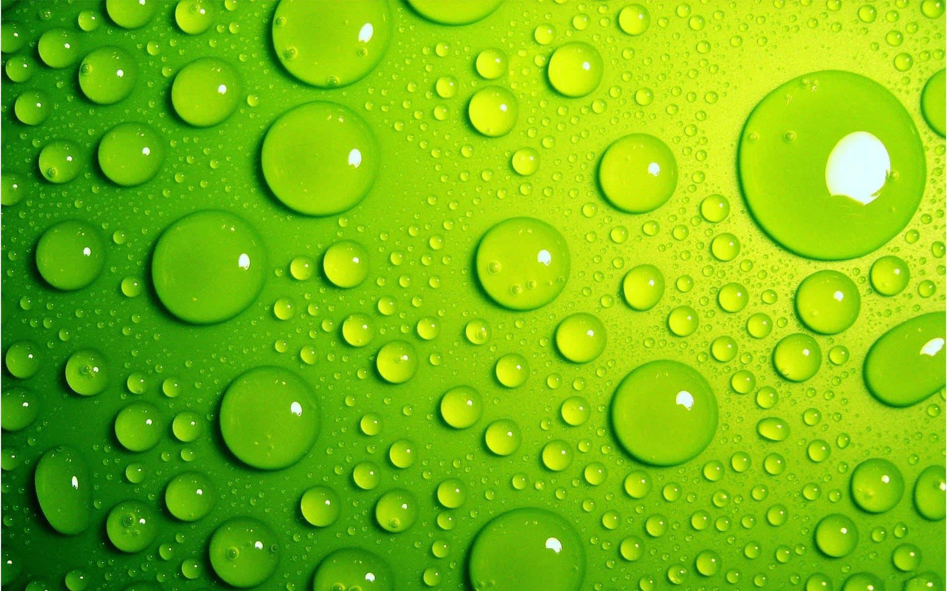 Капли воды на светло-зеленом фоне Обои