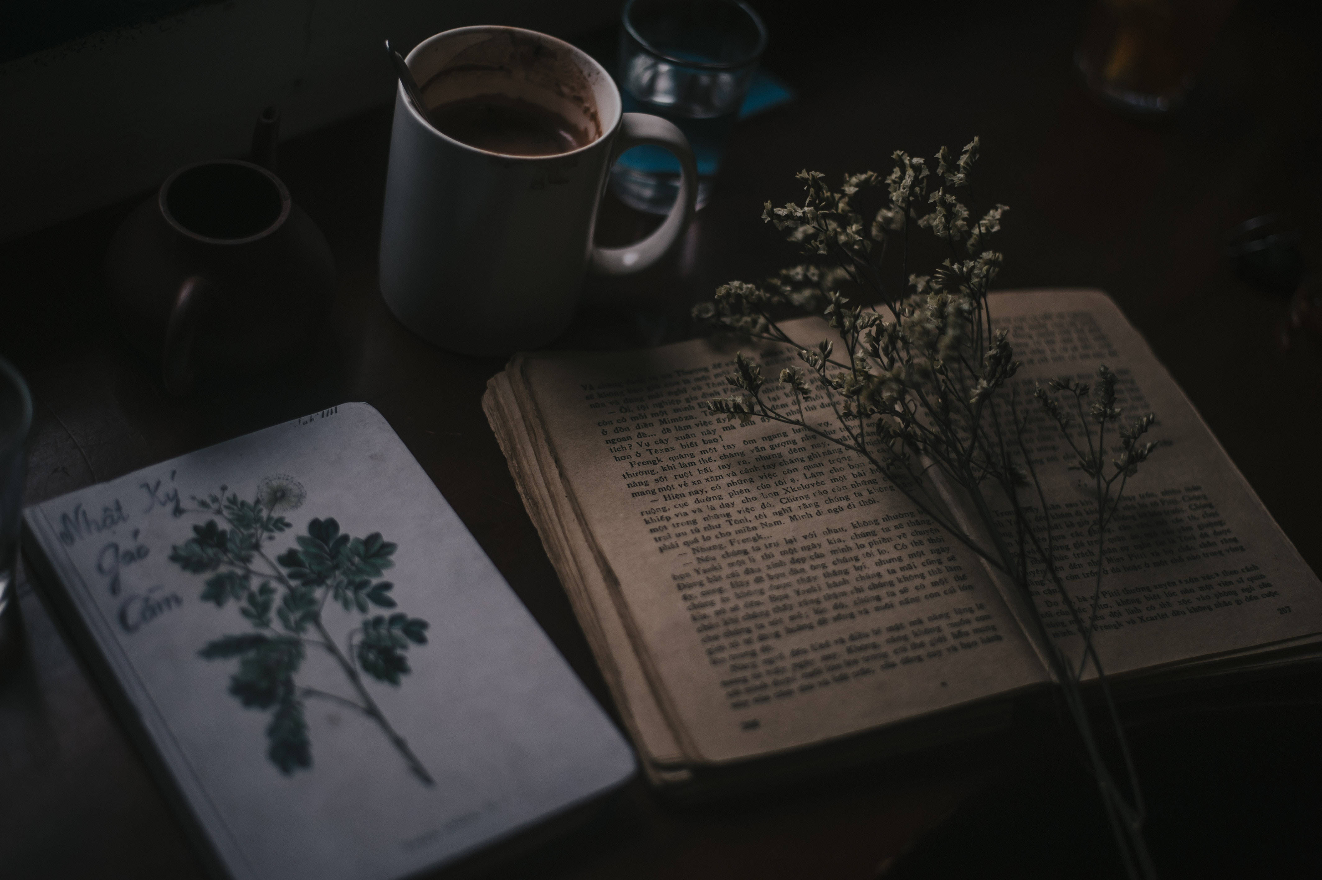 Книги и растения в стиле преппи Обои