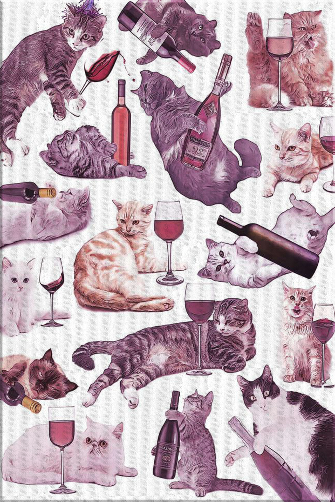 Коты и вино Обои