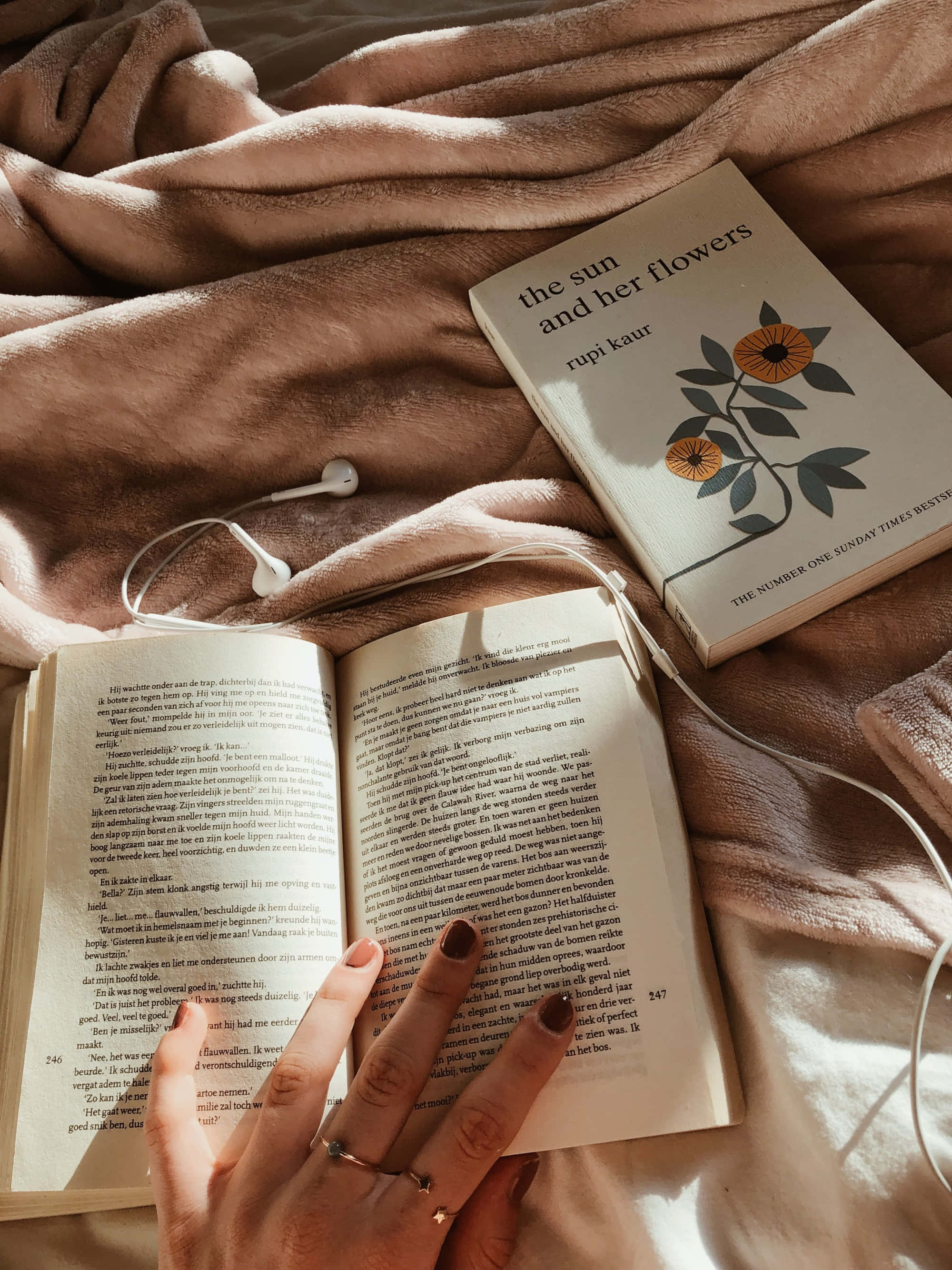 Красиво оформленные книги эстетического искусства Обои