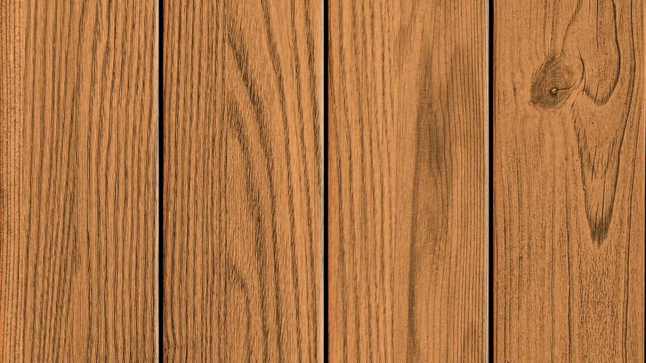 Лесной закатный пейзаж Обои
