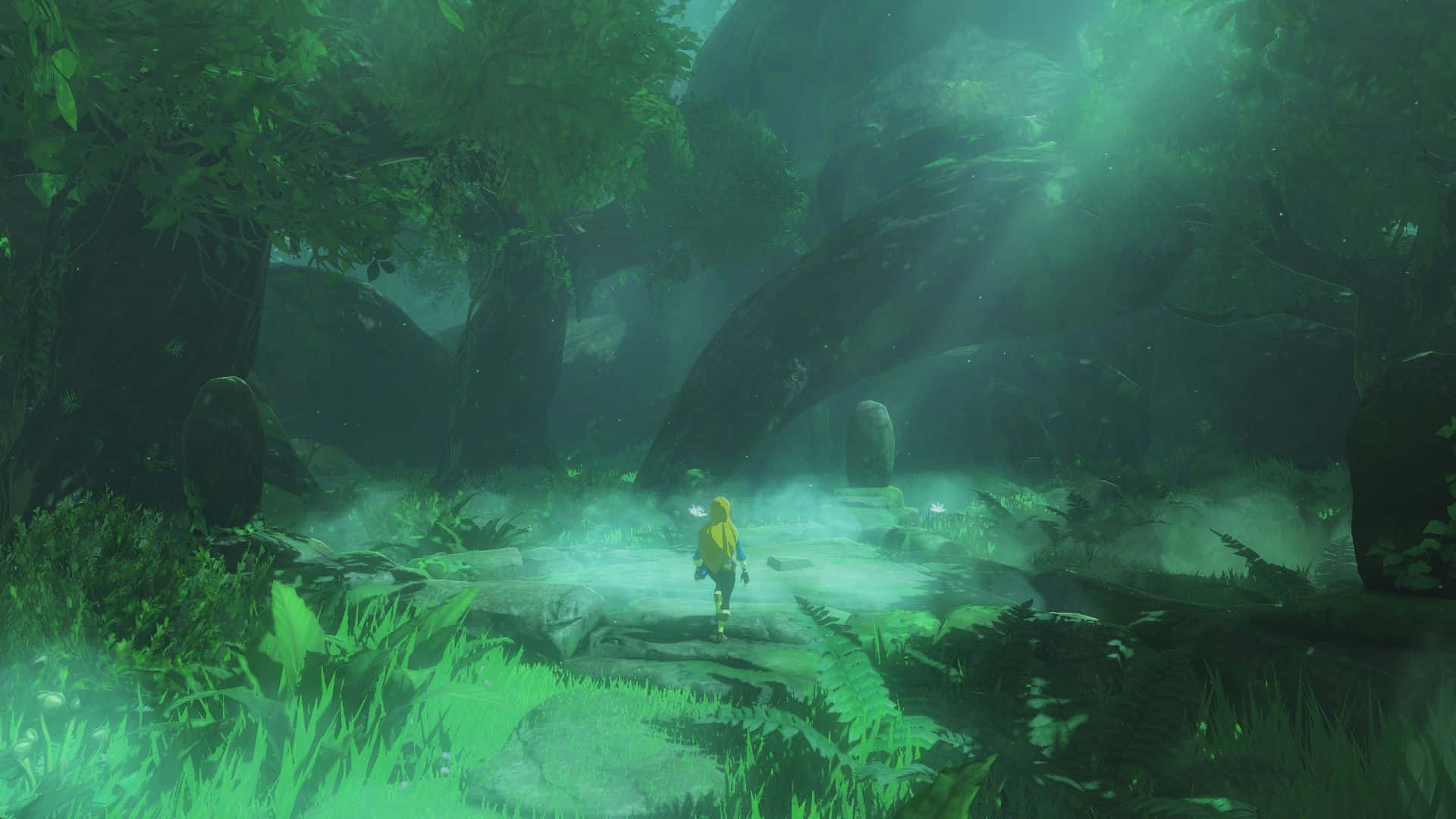 Линк в путешествии по миру The Legend of Zelda Обои