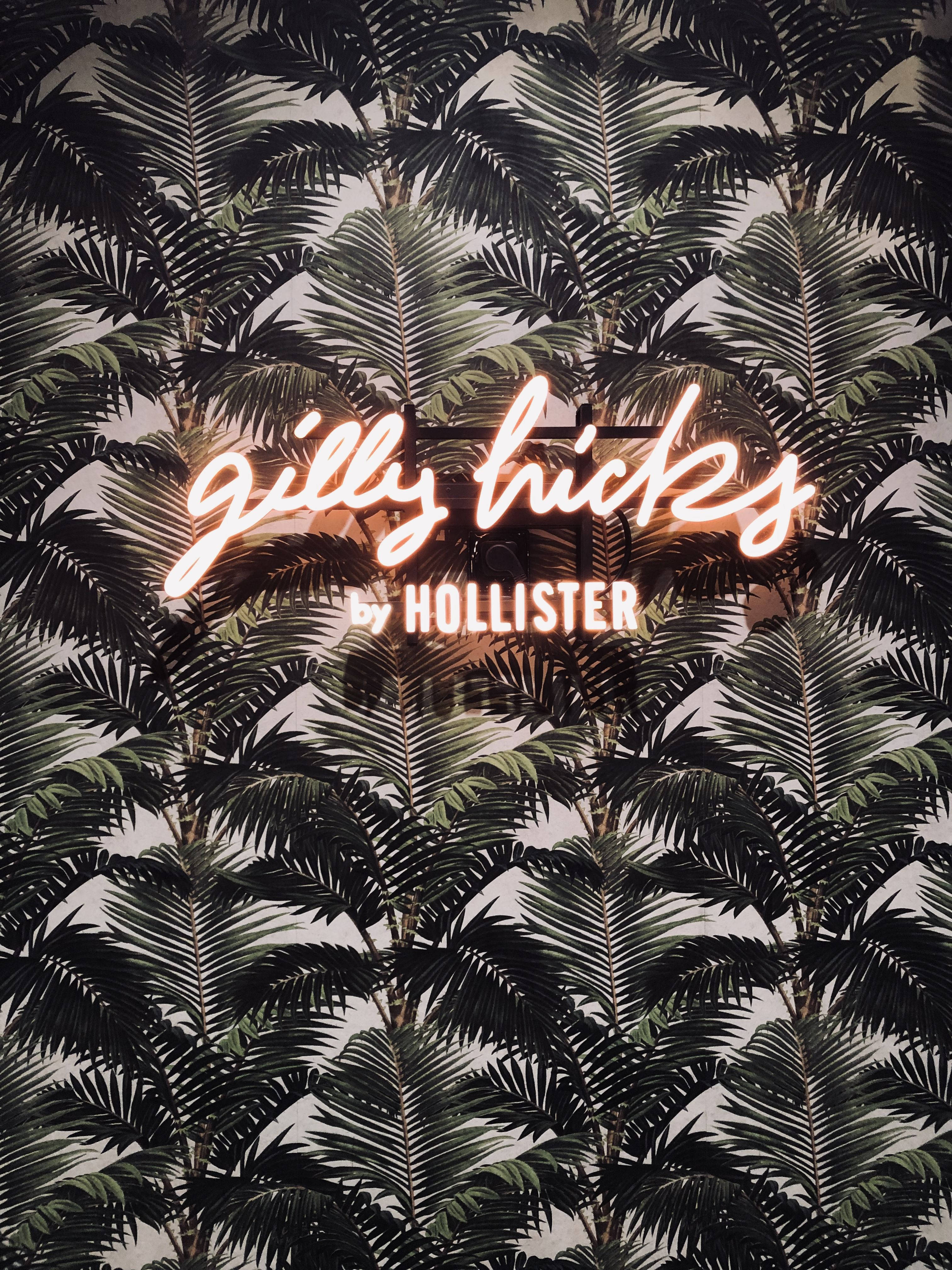 Листья пальмы Hollister Обои
