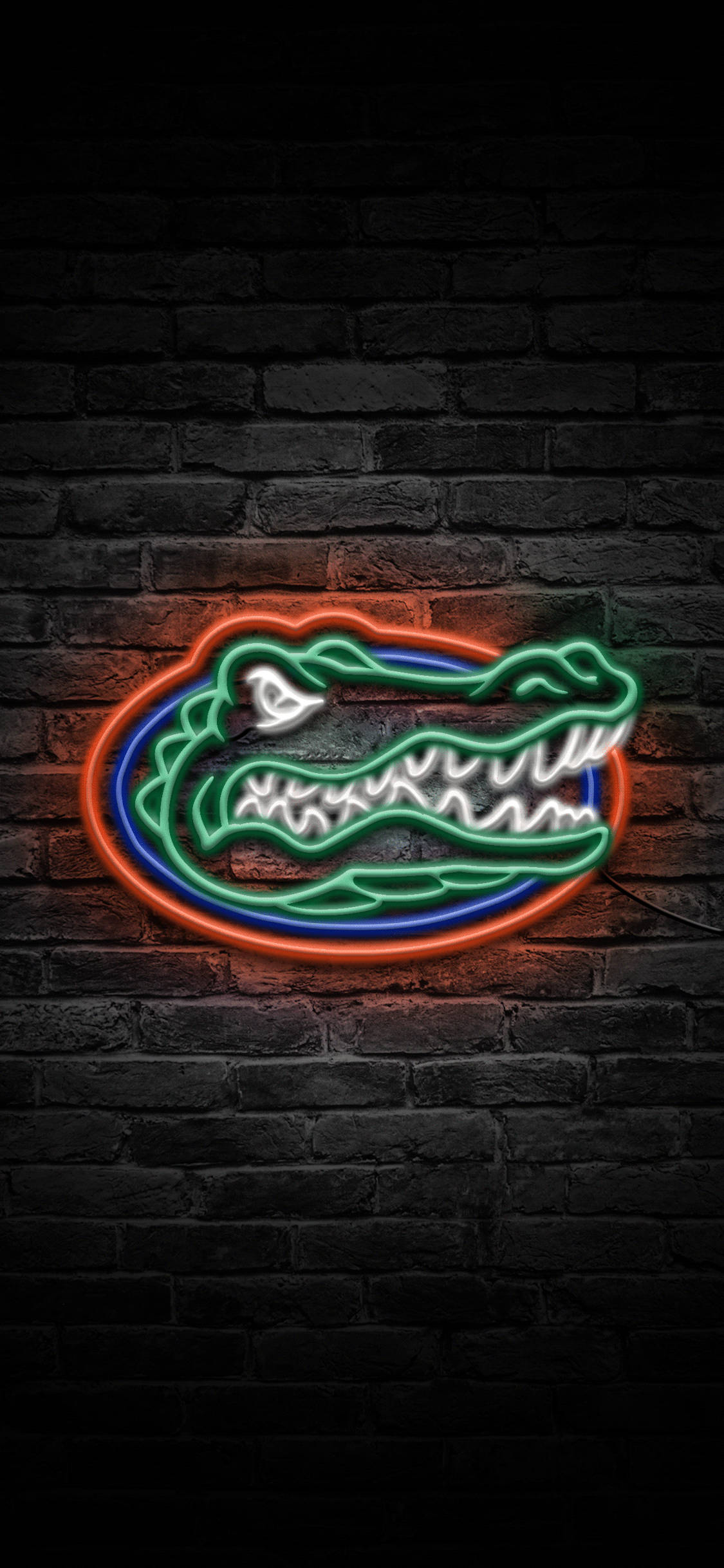 Логотип Florida Gators в неоновых огнях Обои