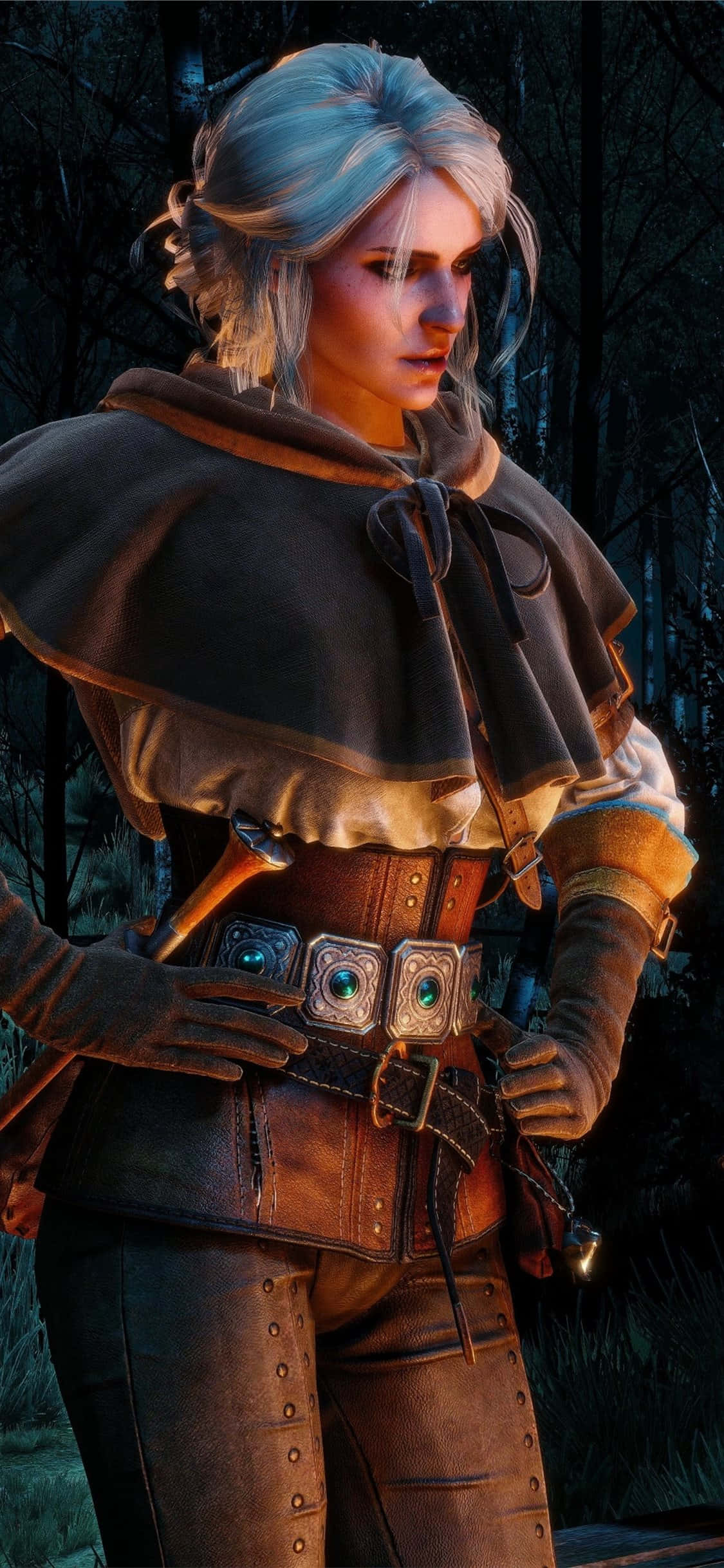 Лучший фон The Witcher 3 Обои