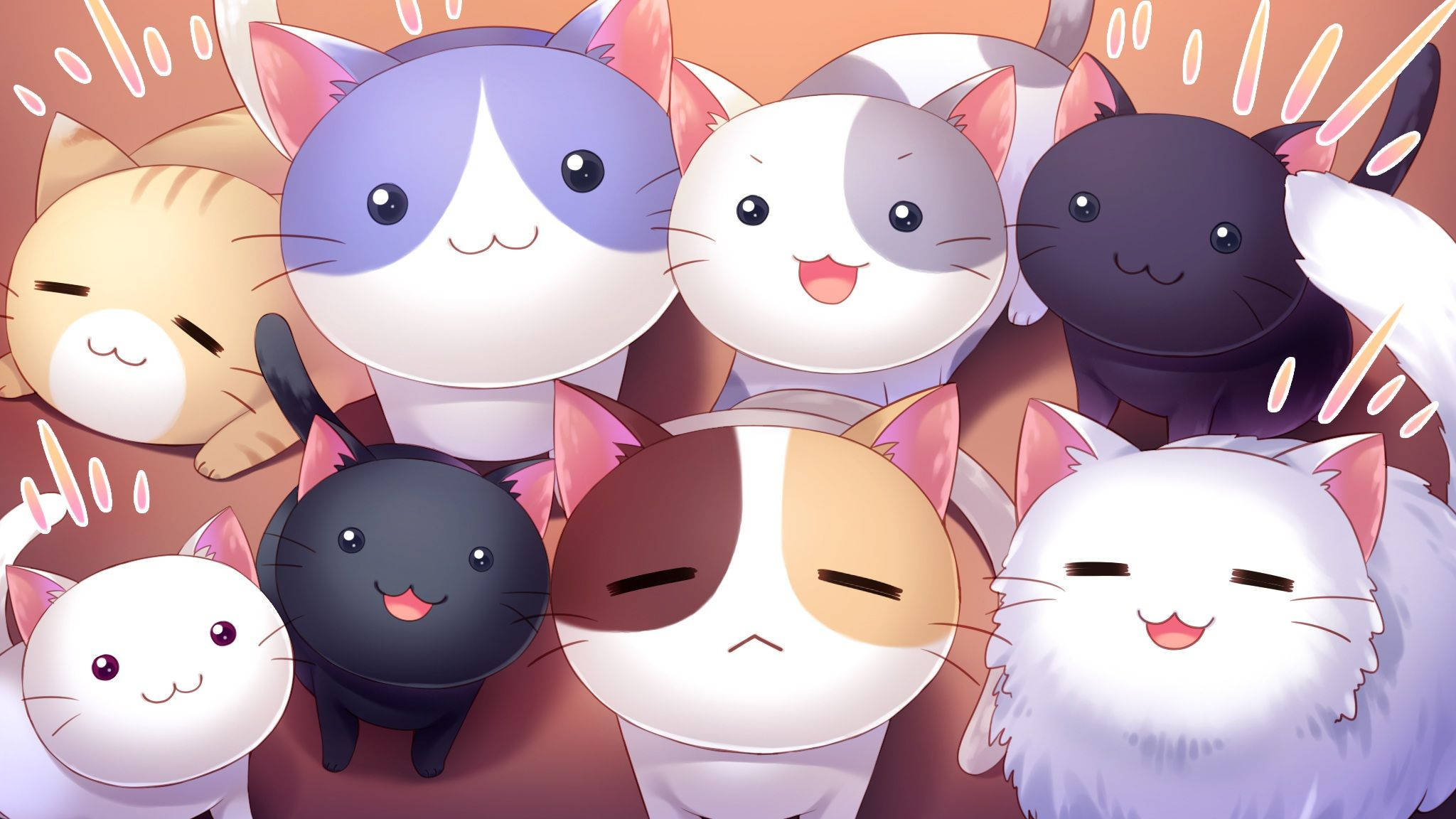 Милые котики смотрят вверх Kawaii iPad Обои