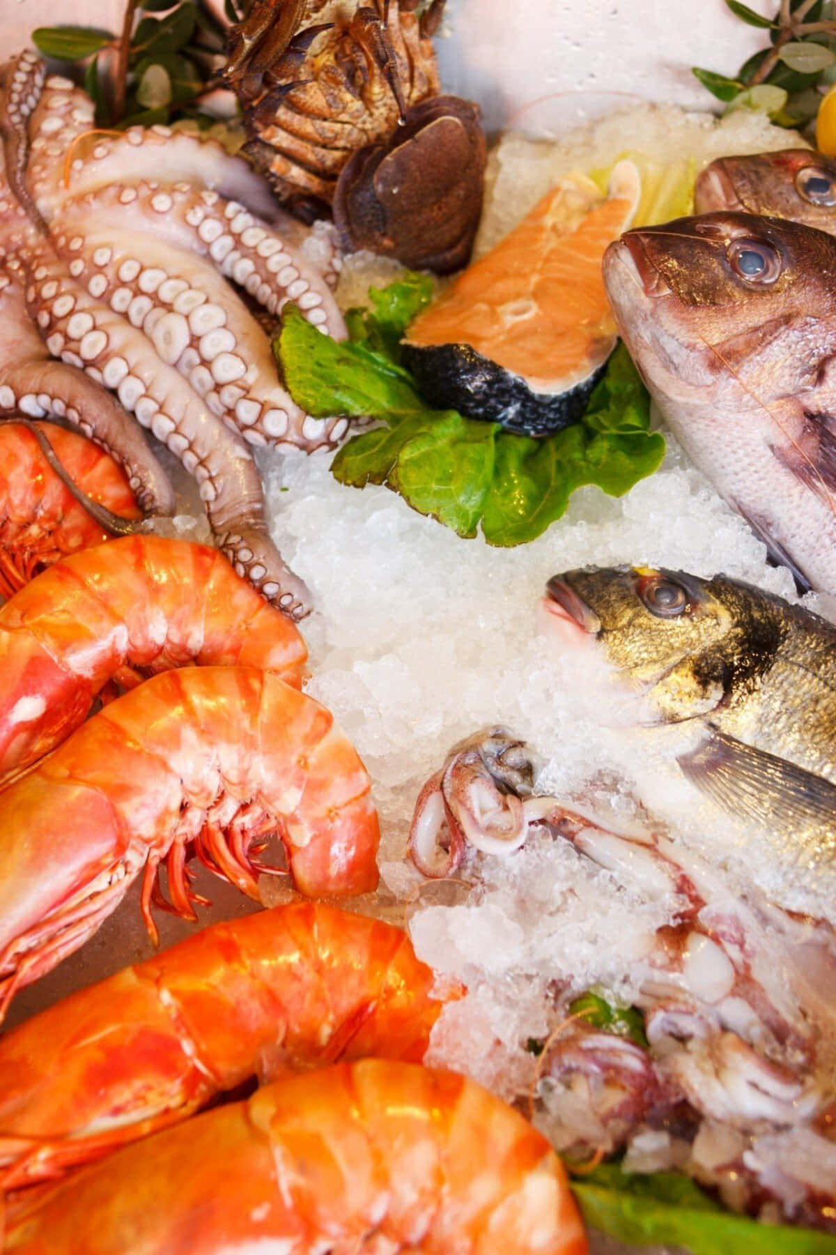 Насладитесь свежим блюдом из морепродуктов Обои