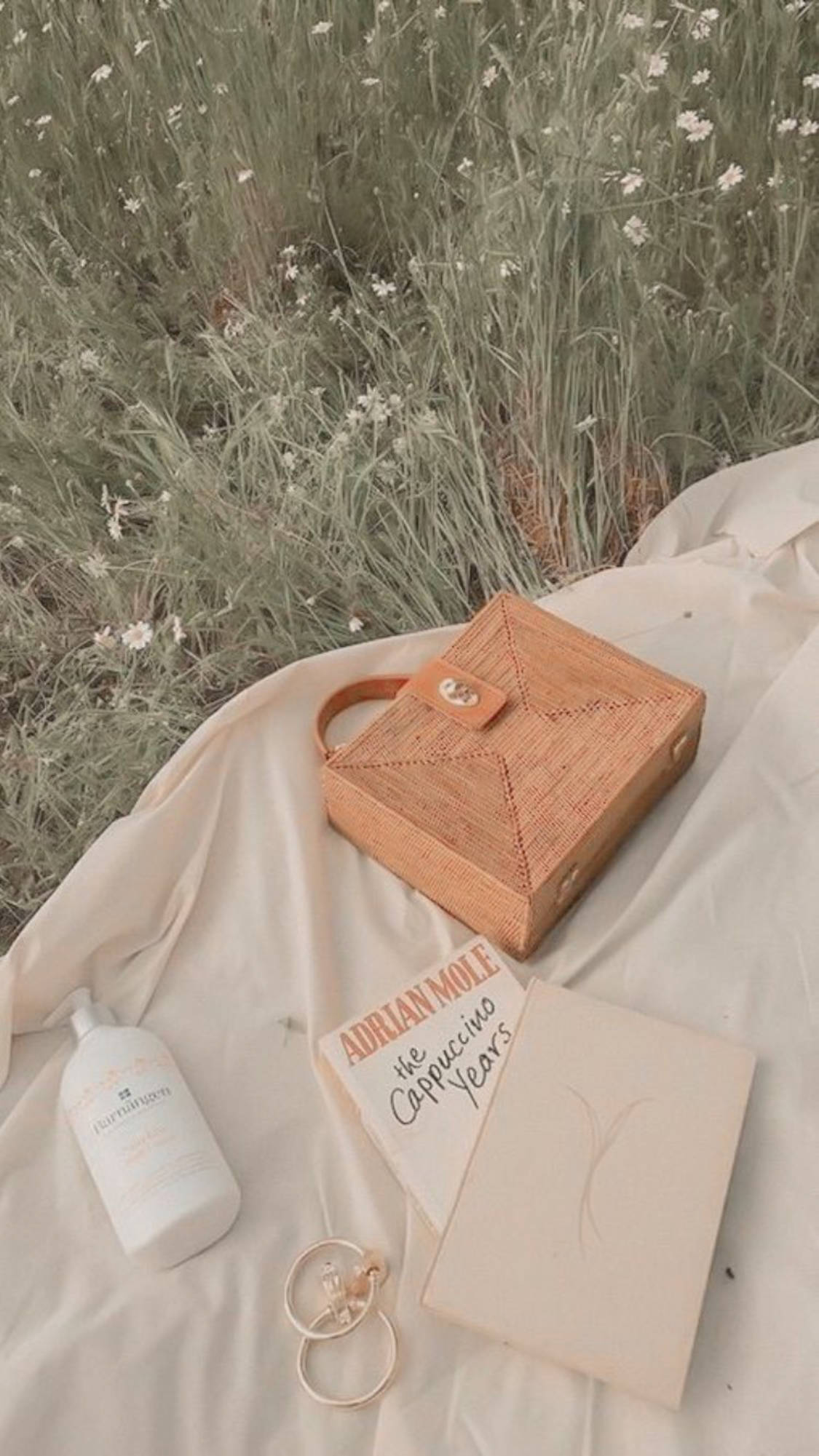 Нежная элегантность - бежевая эстетика сумки и книги Обои