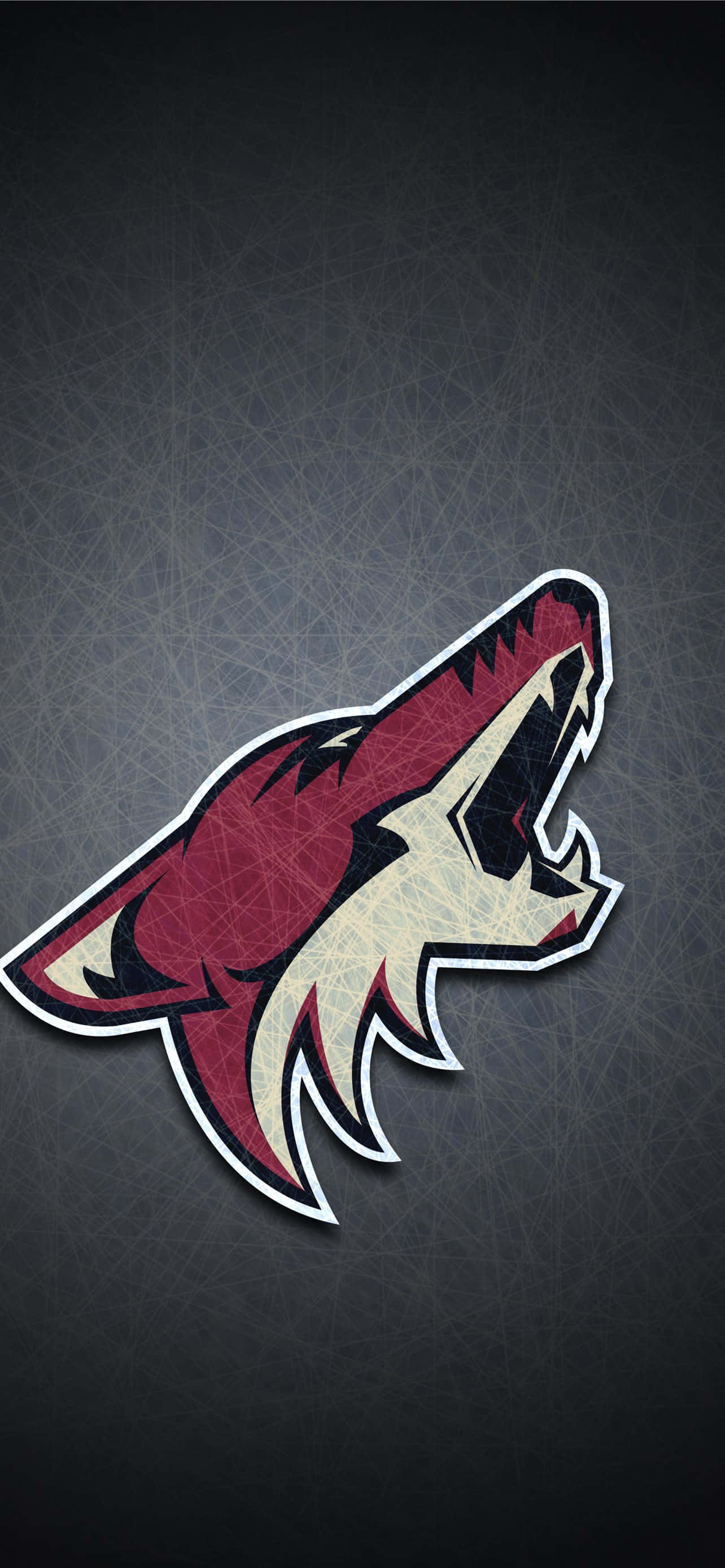 Обои с логотипом Arizona Coyotes Обои