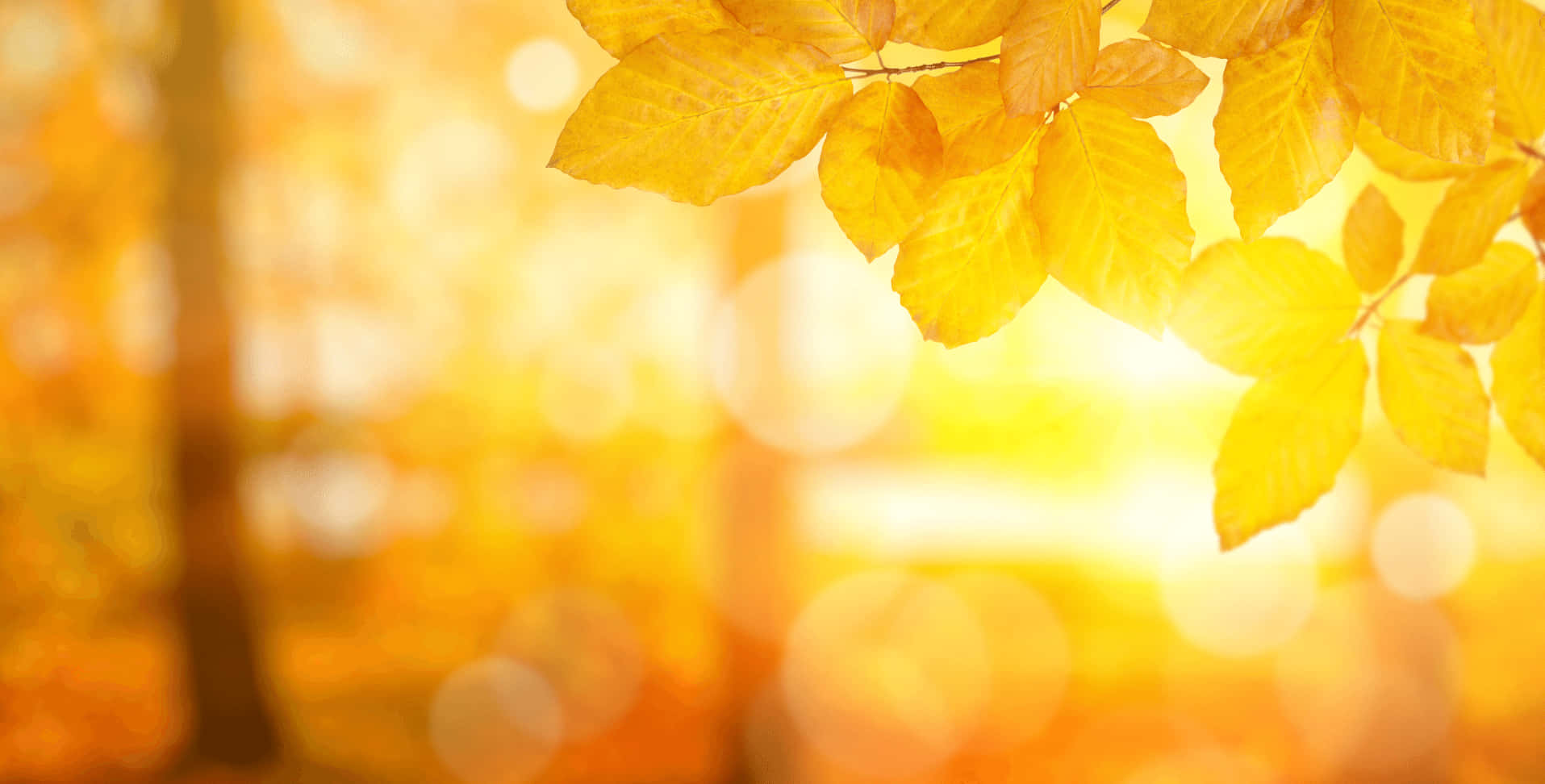 Ощутите тепло этого красочного фона! Обои